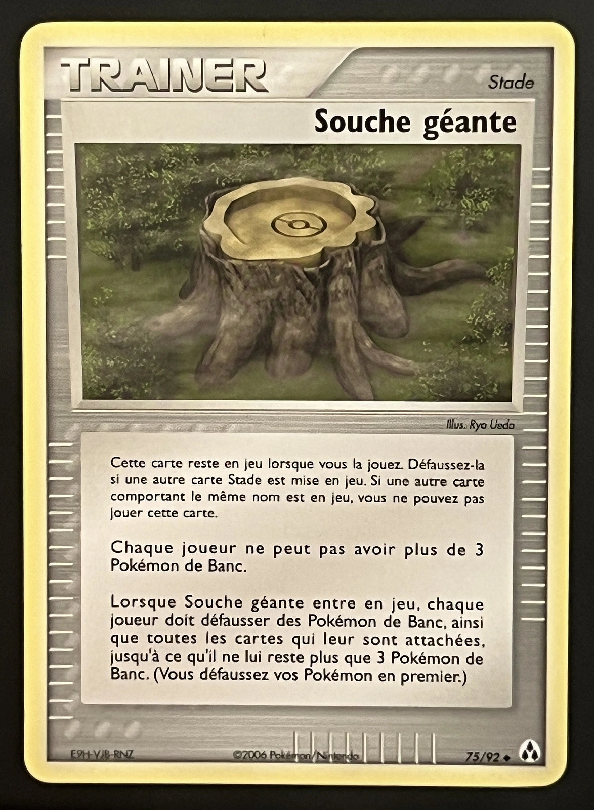 Souche géante 75/92