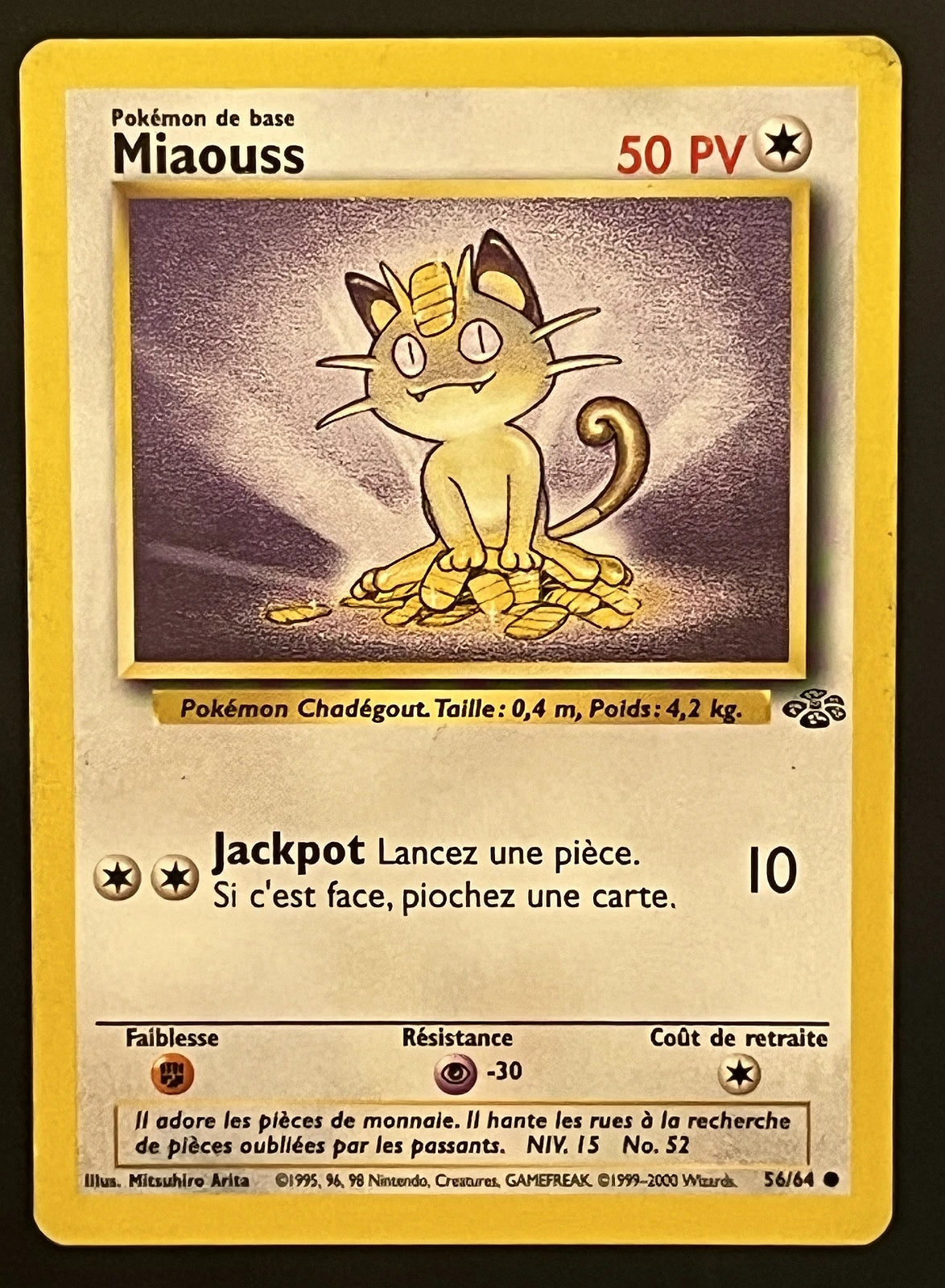 Miaouss 56/64