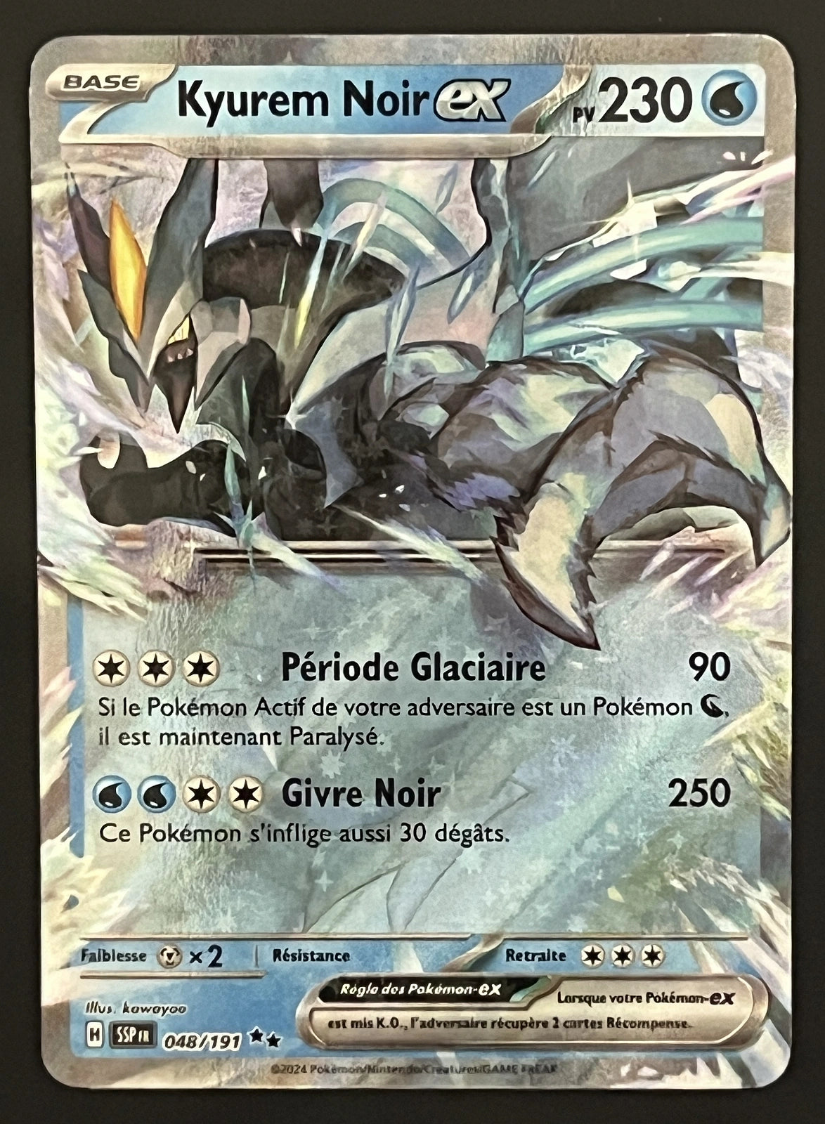 Kyurem Noir EX 048/191