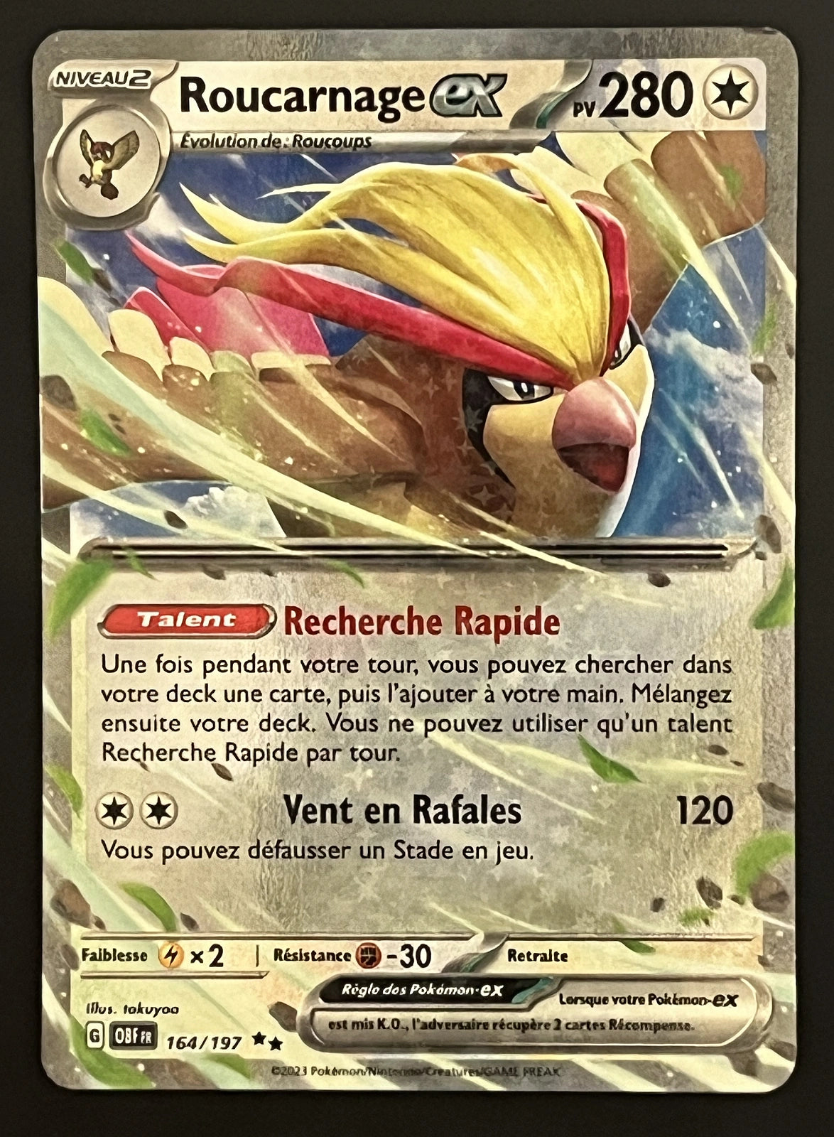 Roucarnage EX 164/197