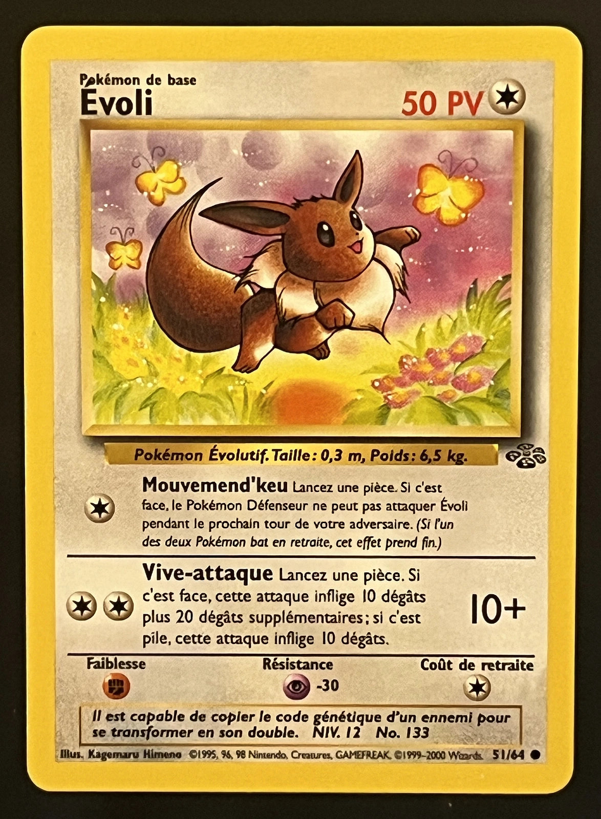 Évoli 51/64