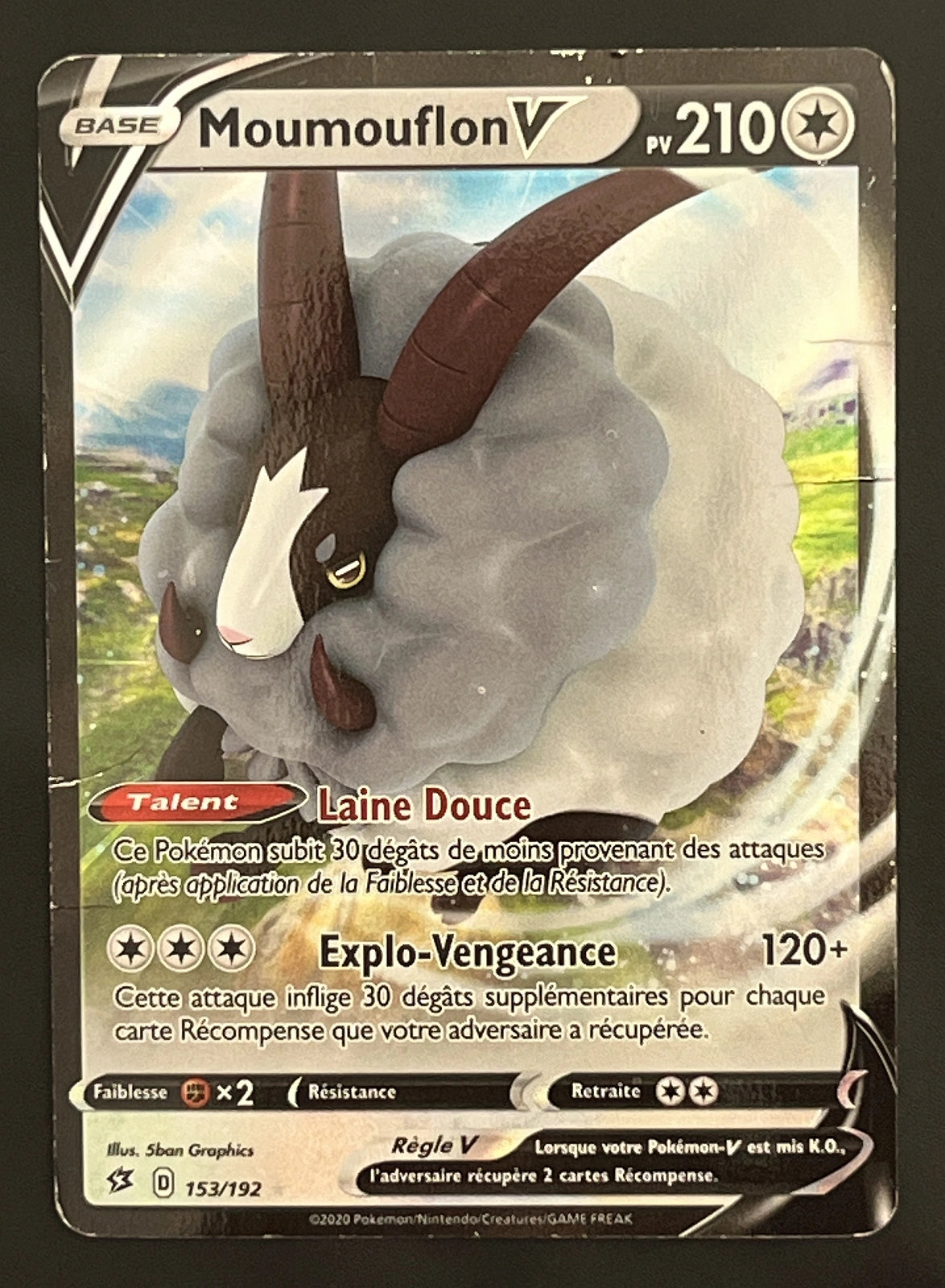 Moumouflon V 153/192