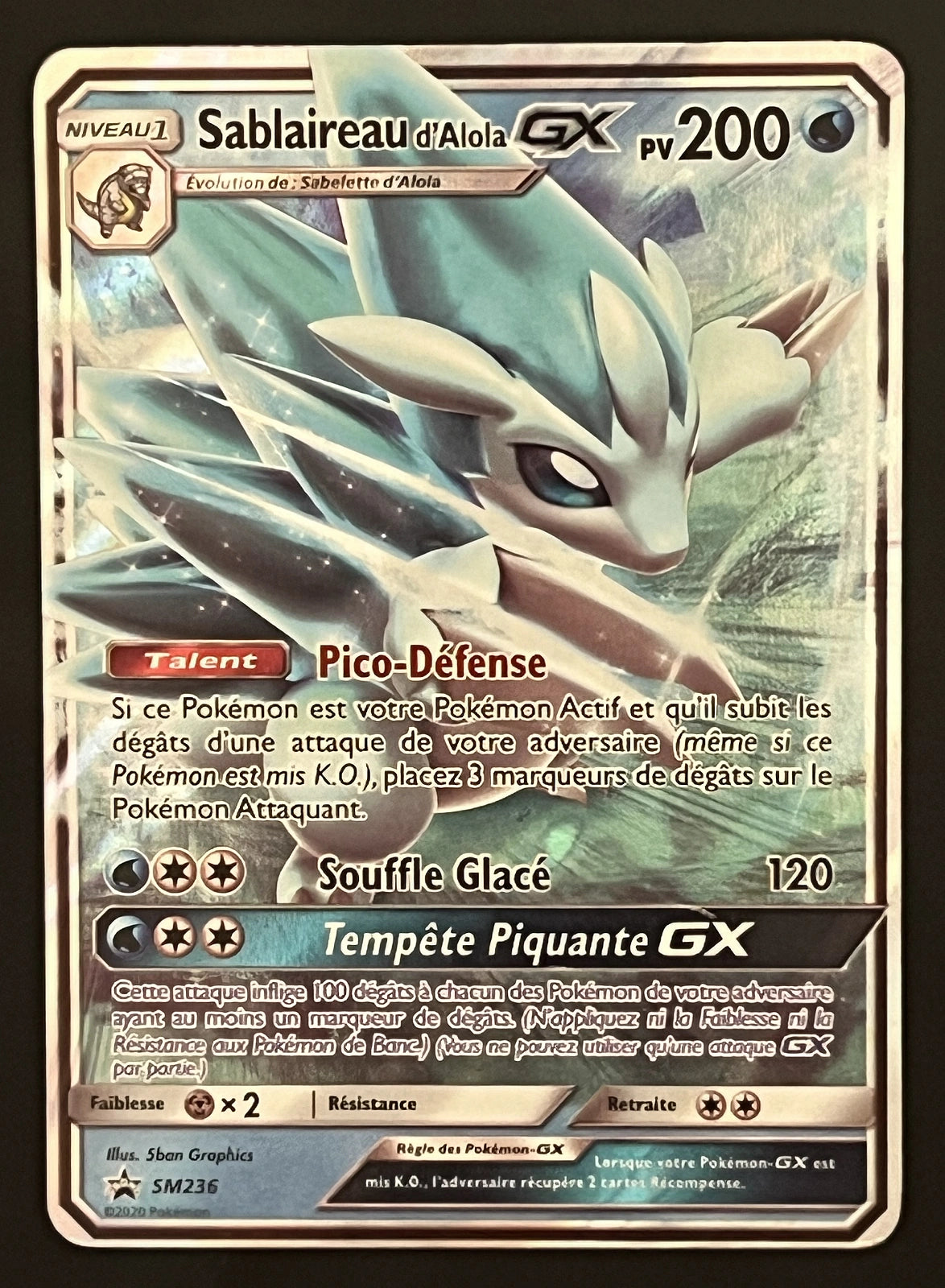 Sablaireau GX SM236