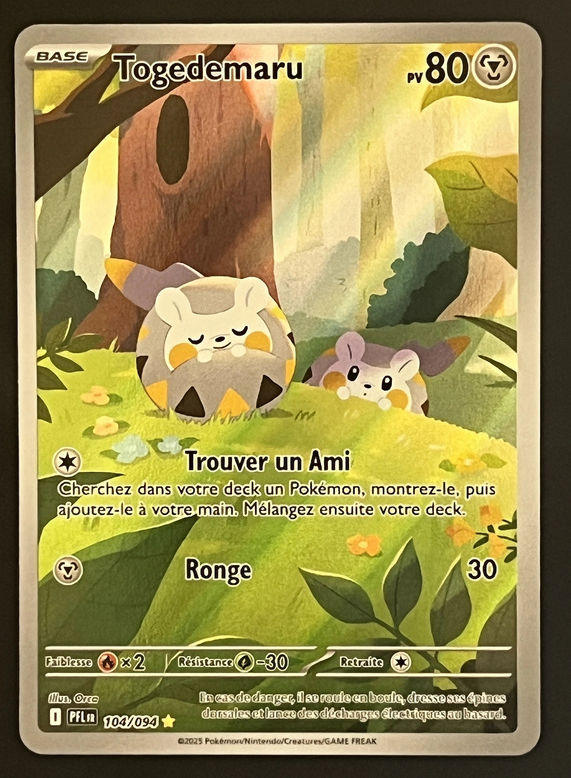 Togedemaru 104/094