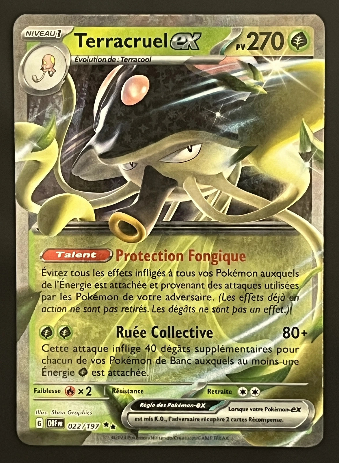 Terracruel EX 022/197