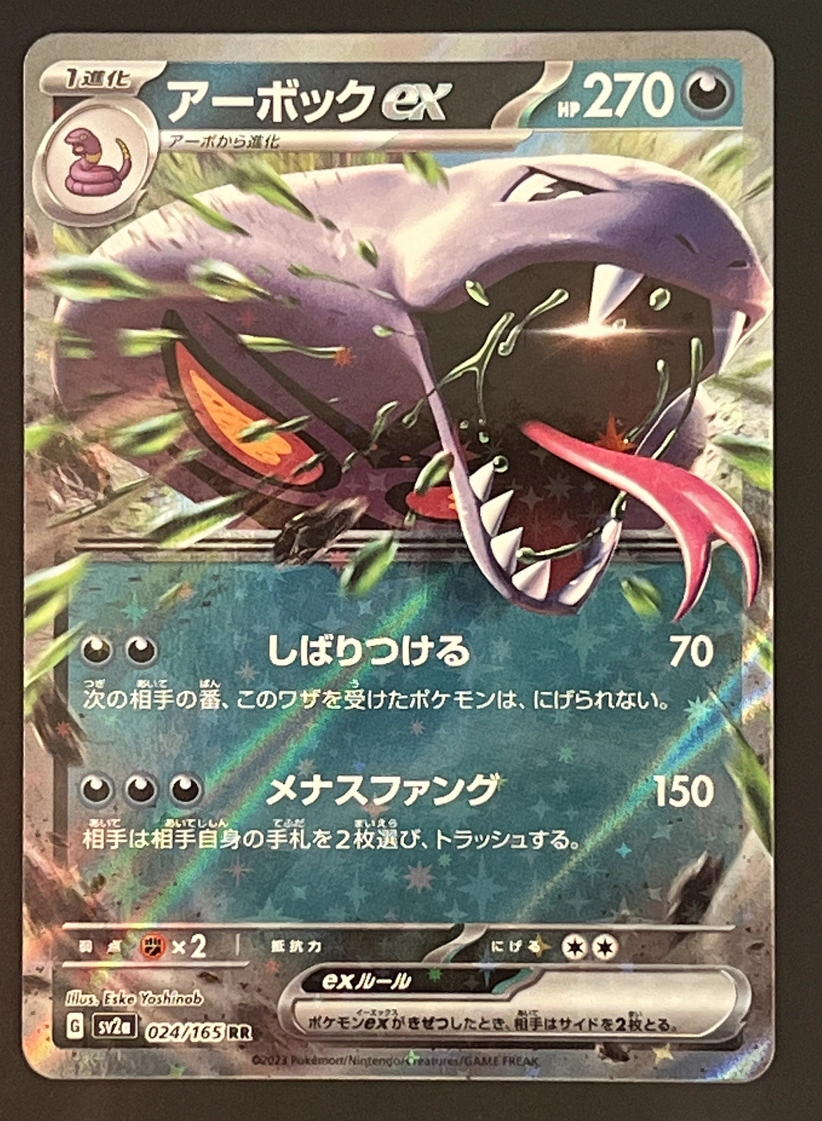 Arbok 024/165