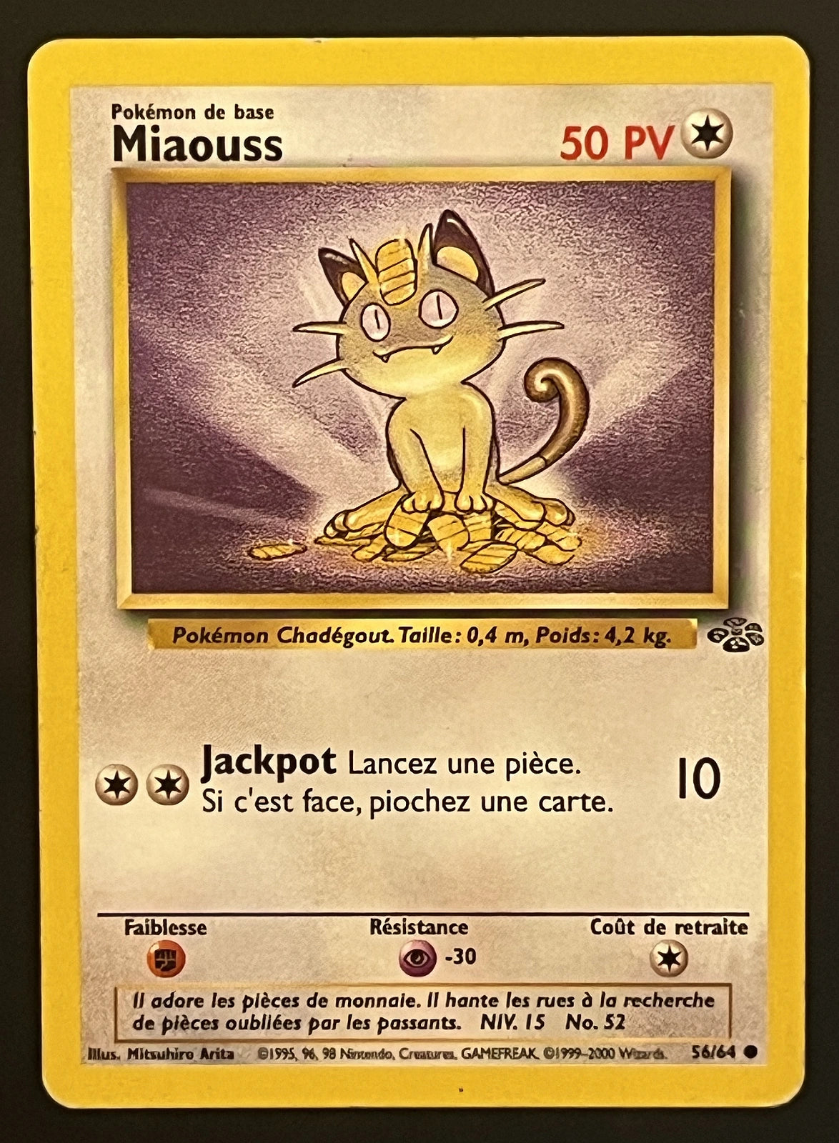 Miaouss 56/64