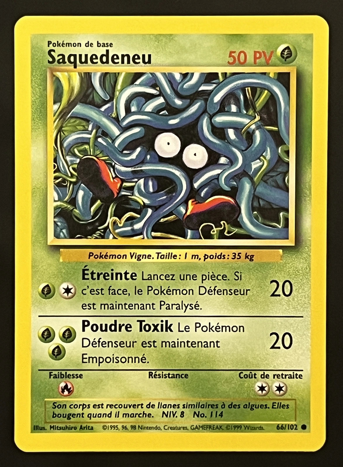 Saquedeneu 66/102