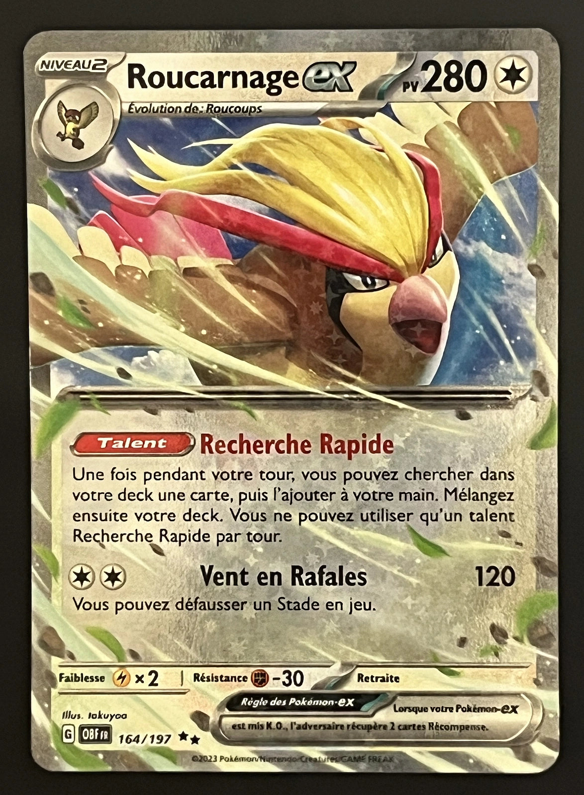 Roucarnage EX 164/197