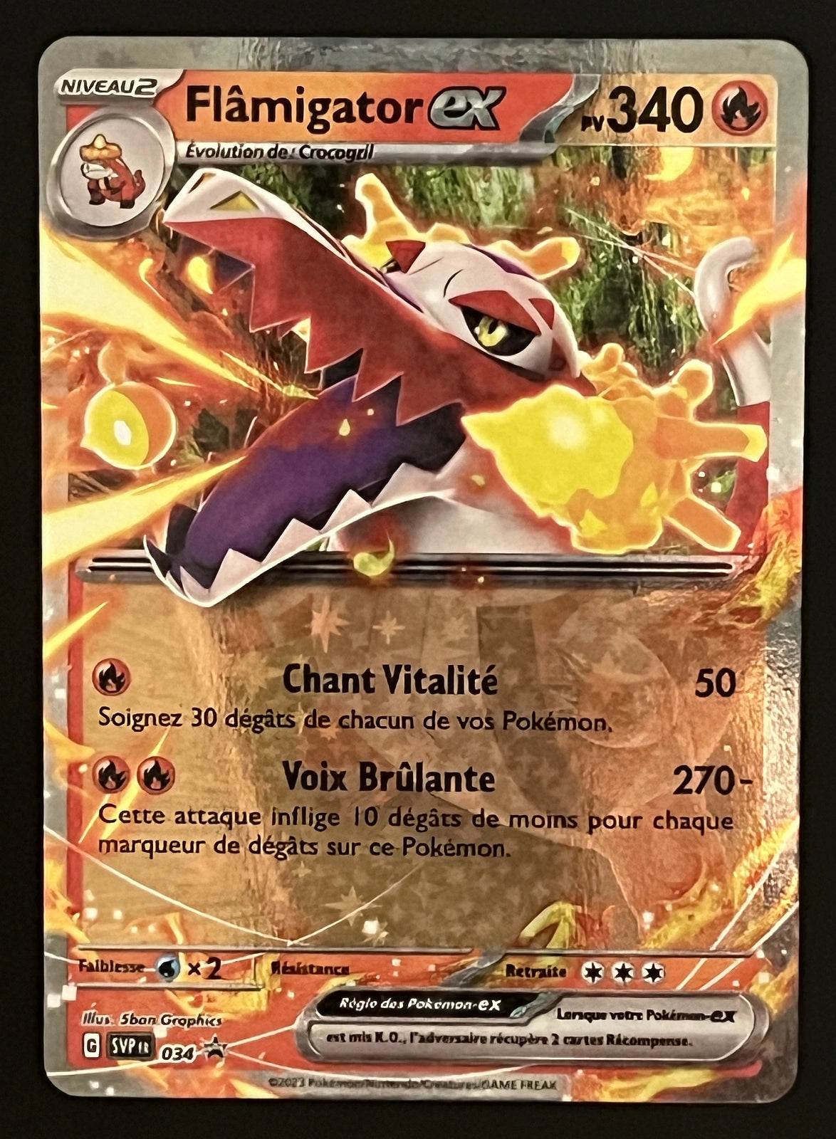 Flâmigator EX SVP034