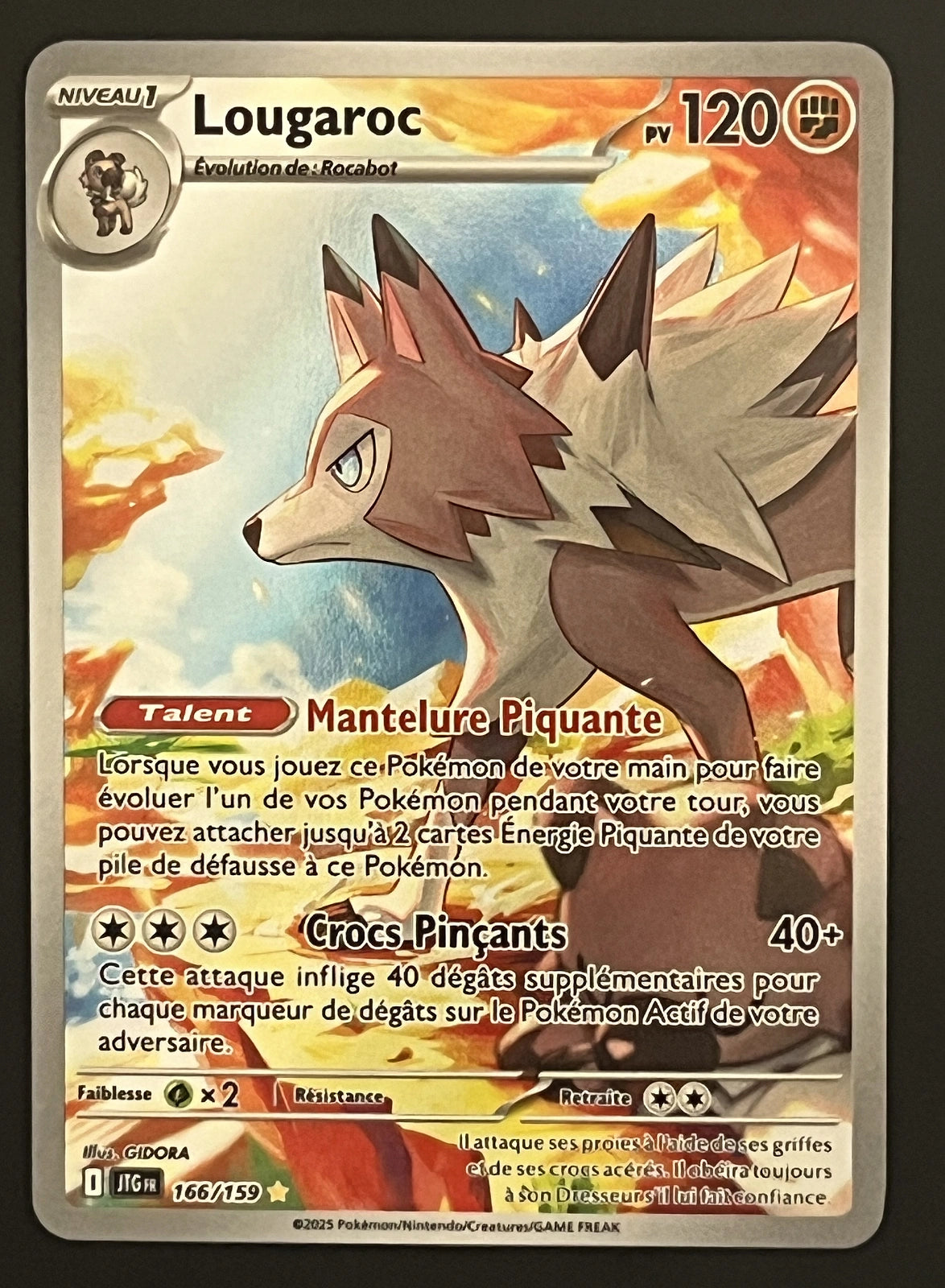 Lougaroc 166/159
