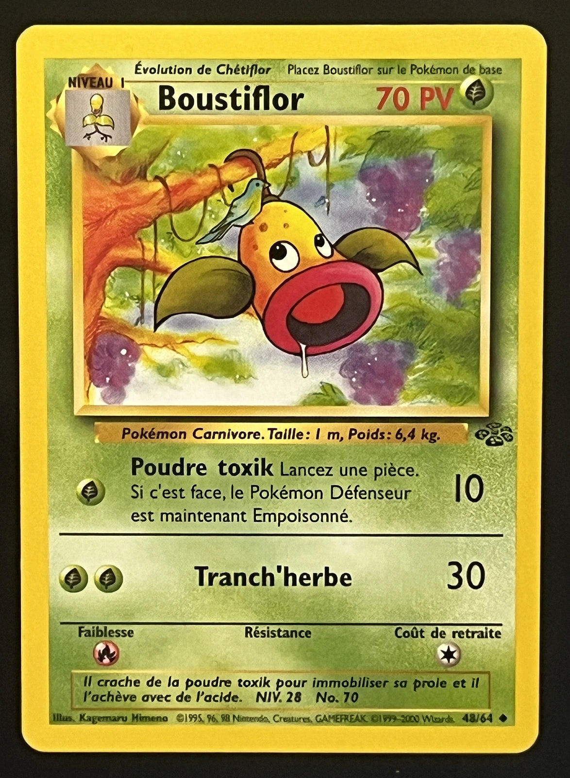 Boustiflor 48/64