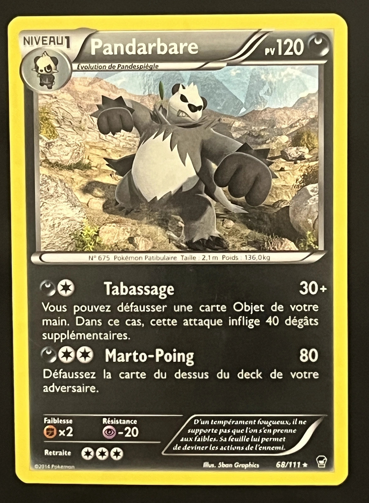 Pandarbare 68/111