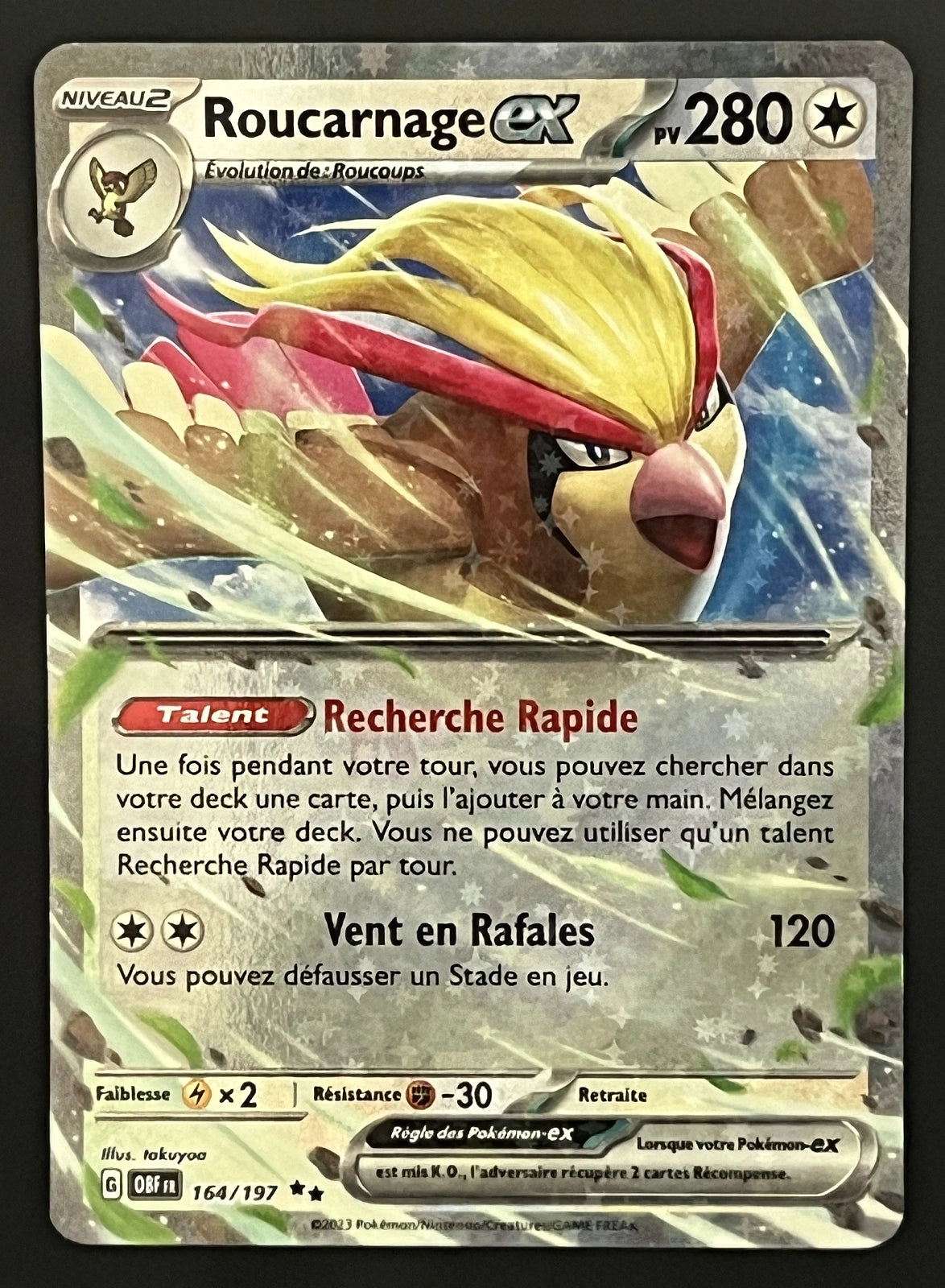 Roucarnage EX 164/197