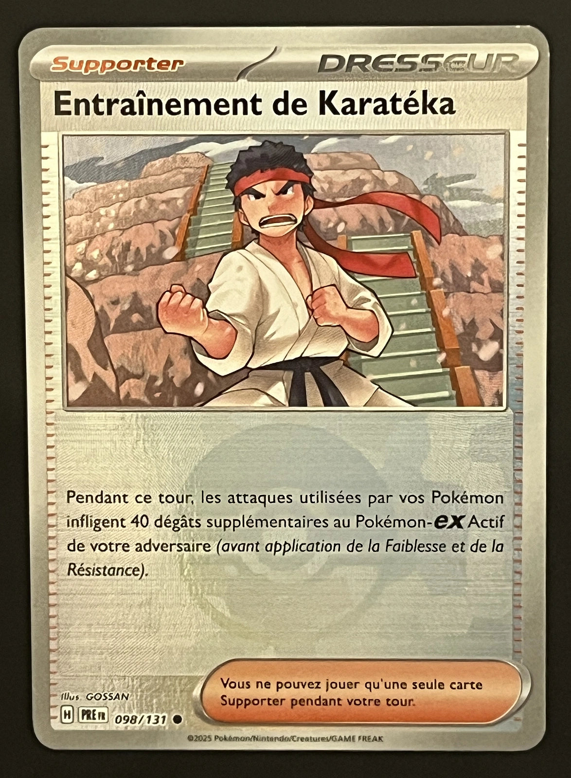 Entraînement de Karatéka 098/131