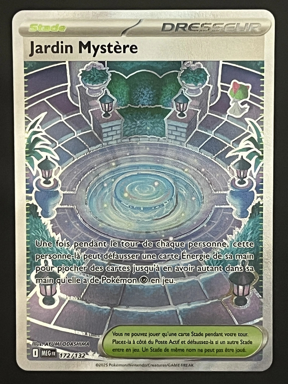 Jardin Mystère 172/132