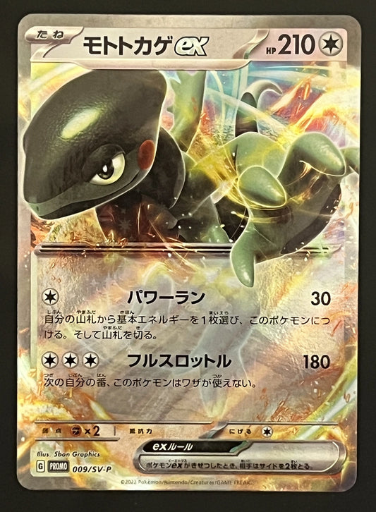 Motorizard EX 009/SV-P