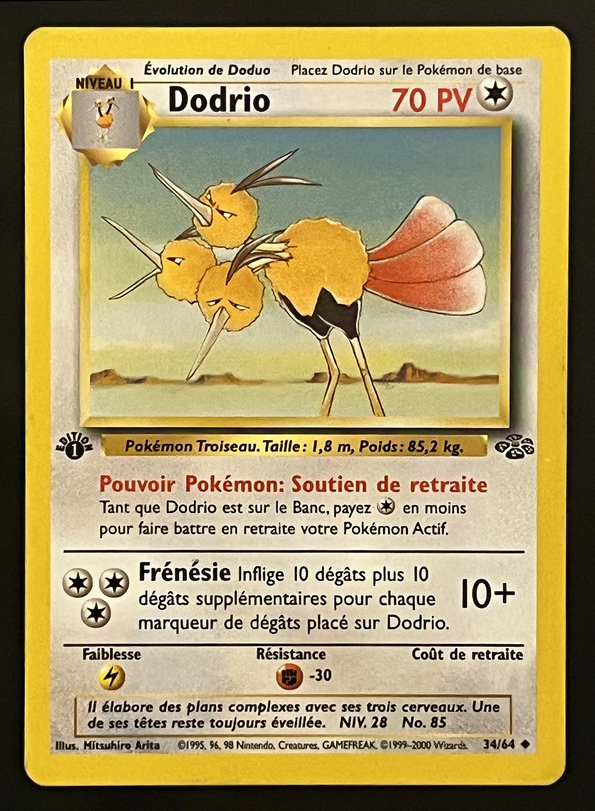 Dodrio 34/64