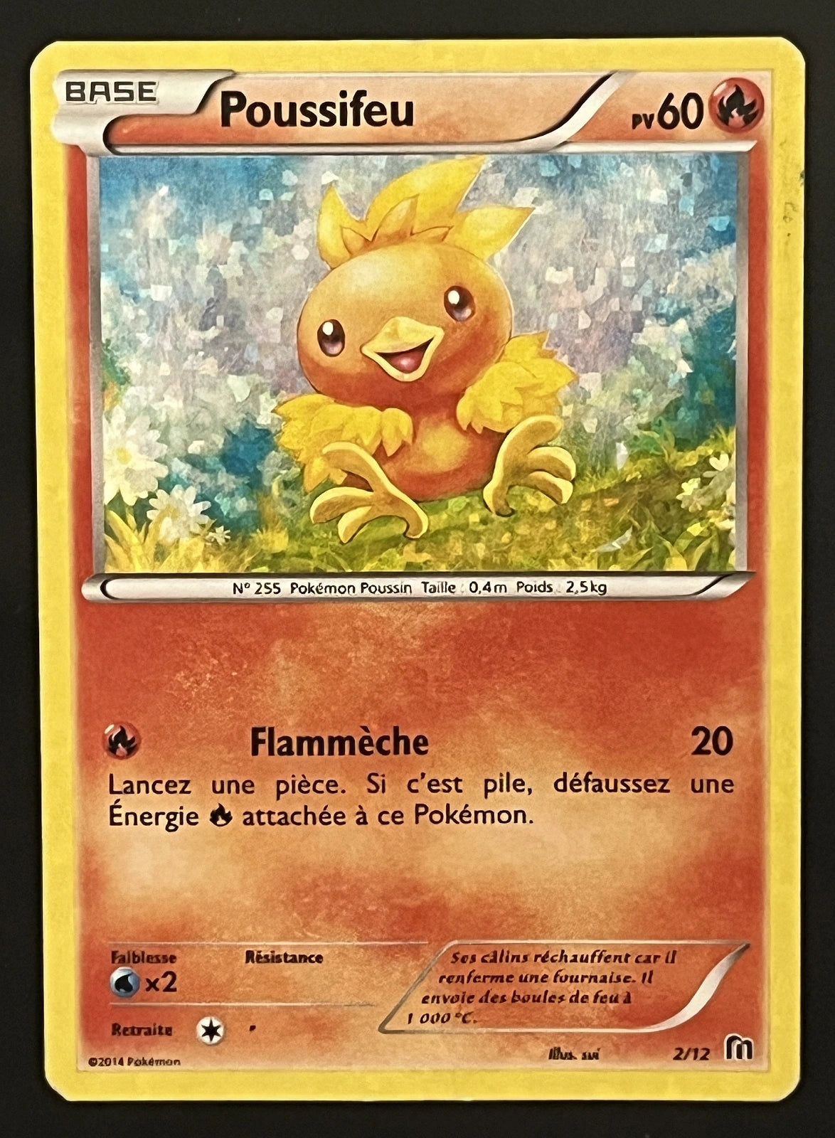 Poussifeu 2/12