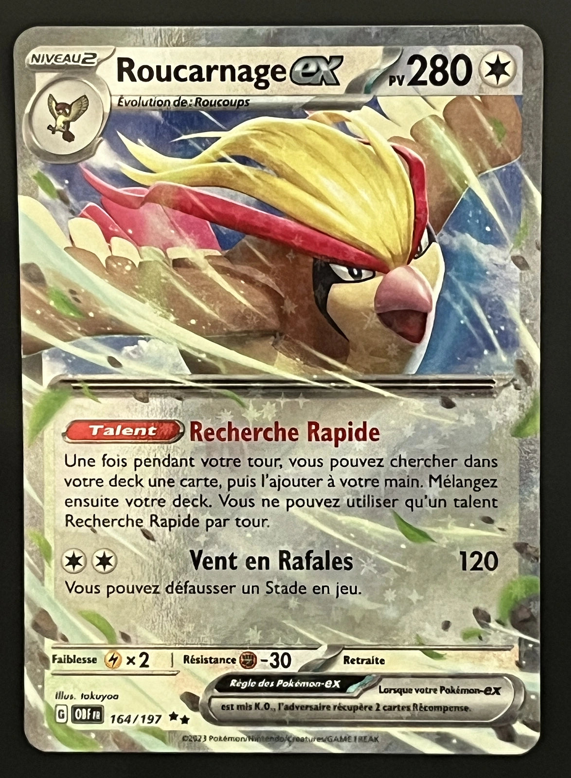 Roucarnage EX 164/197