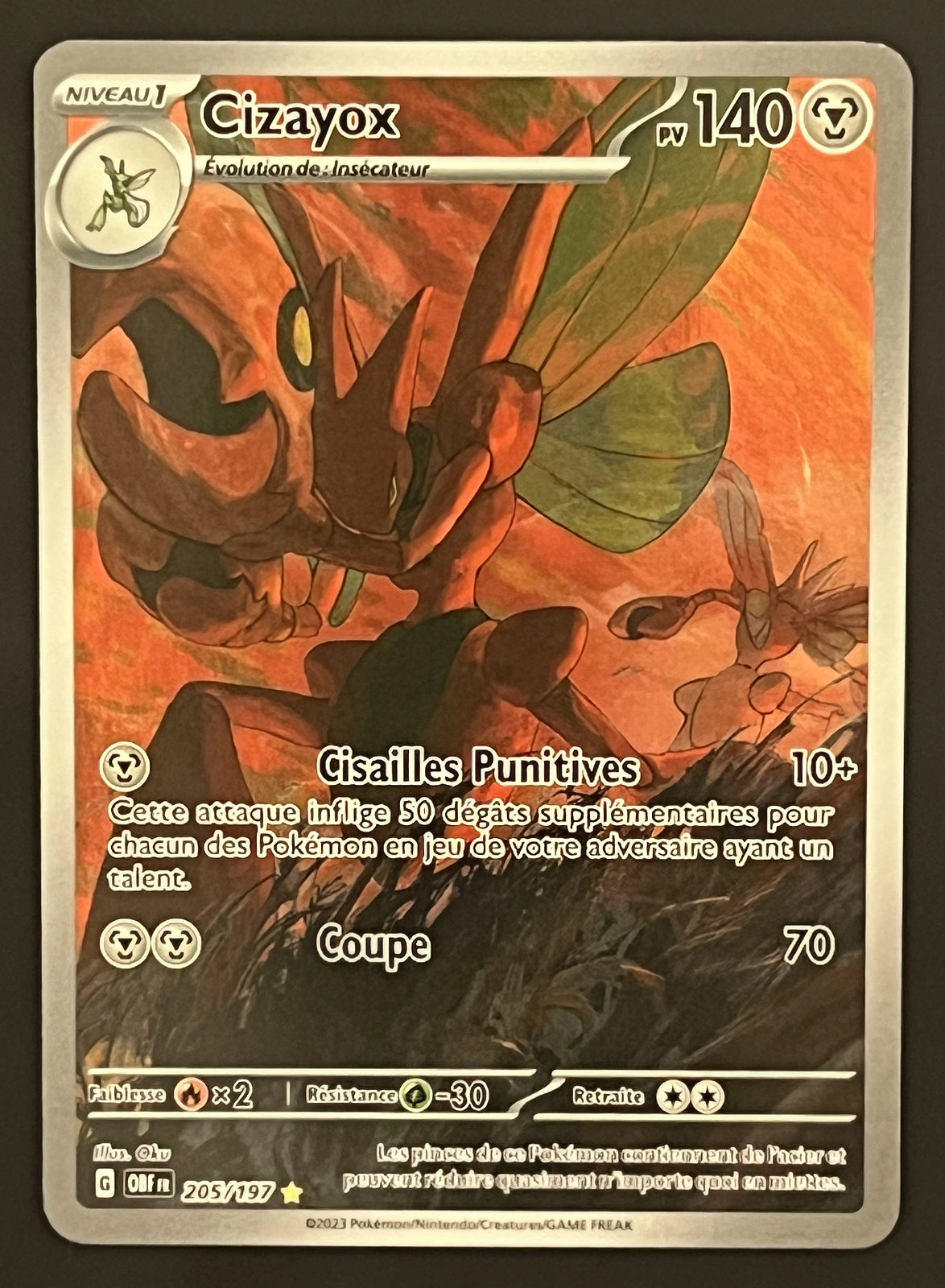 Cizayox 205/197