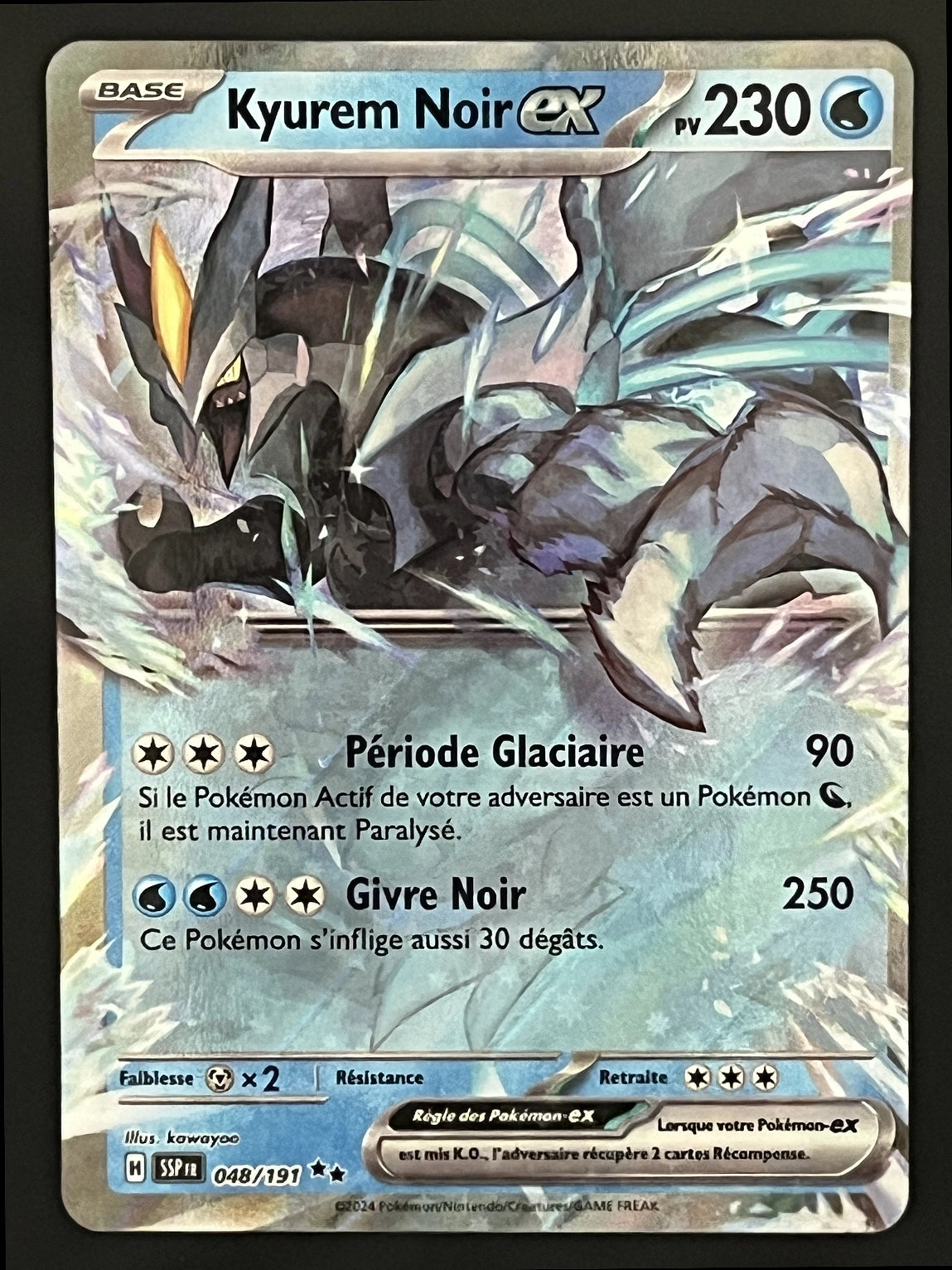 Kyurem Noir EX 048/191