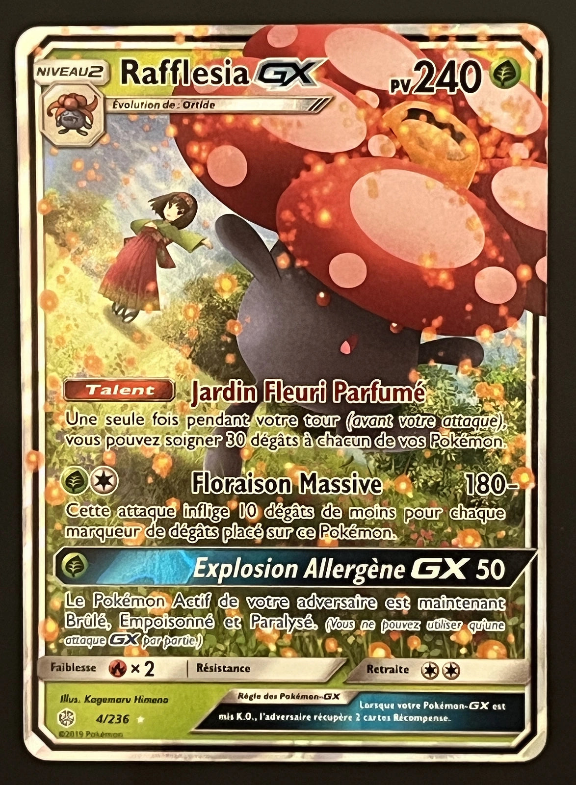 Rafflesia GX 4/236