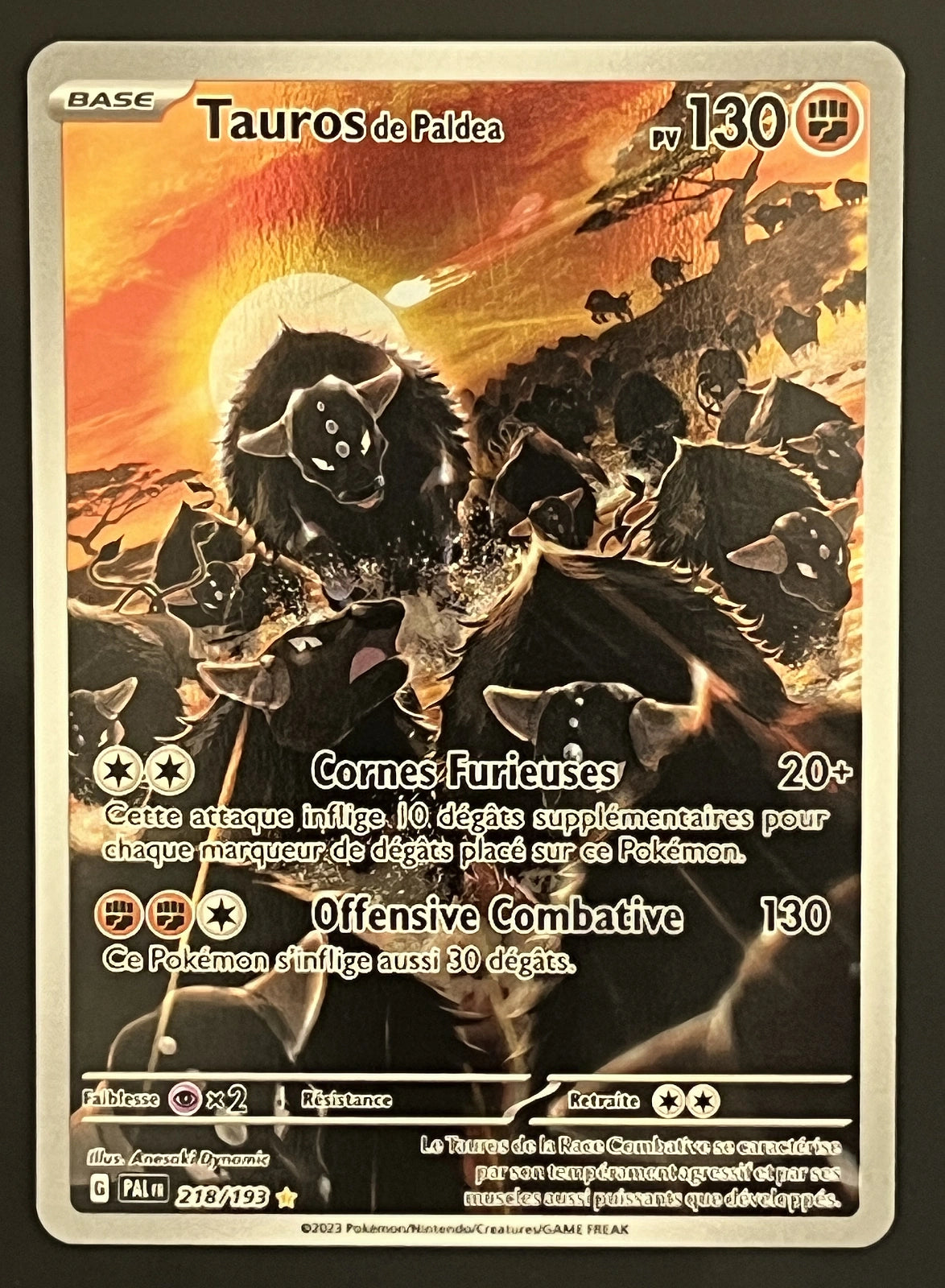 Tauros 218/193