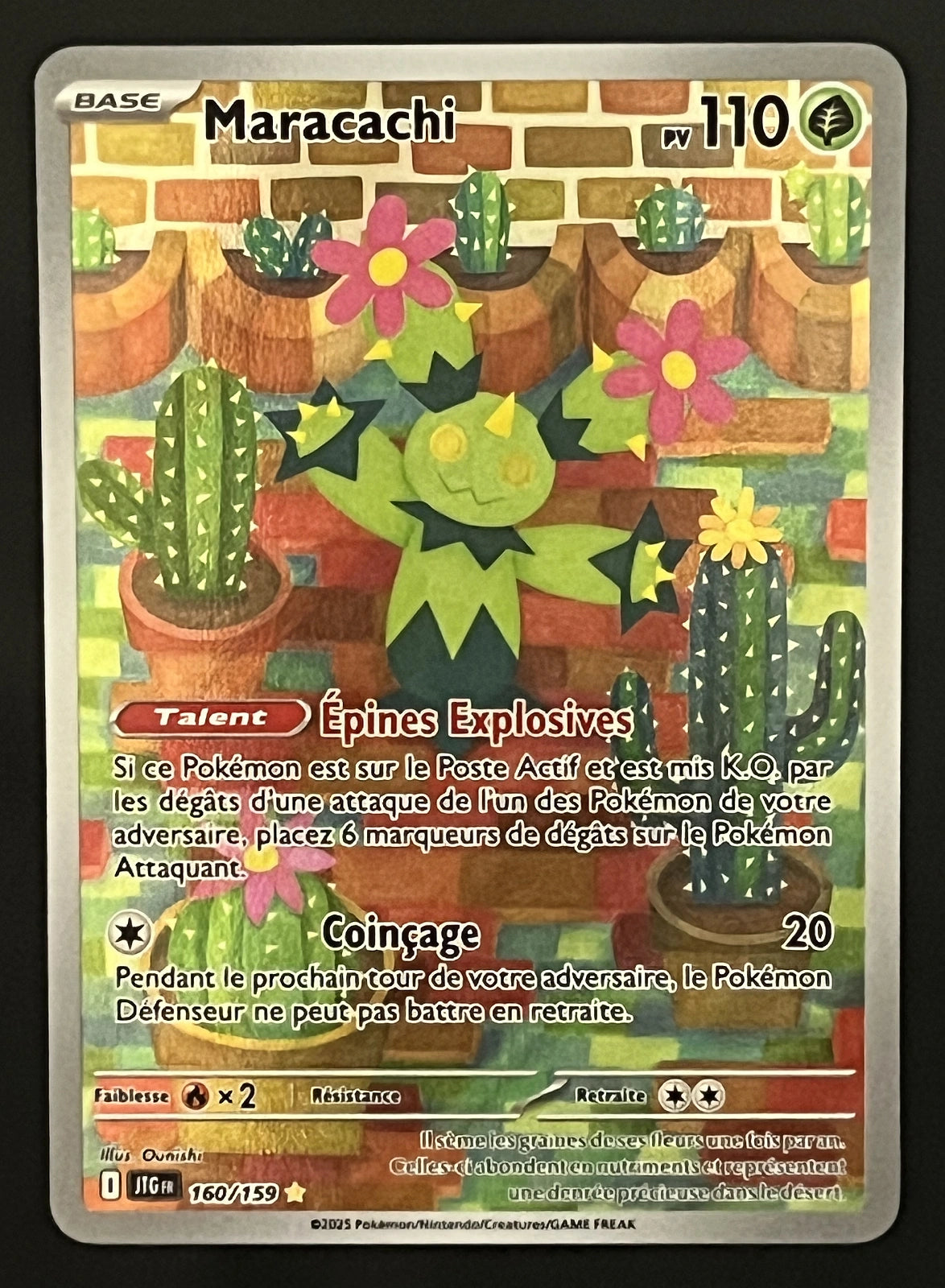 Maracachi 160/159