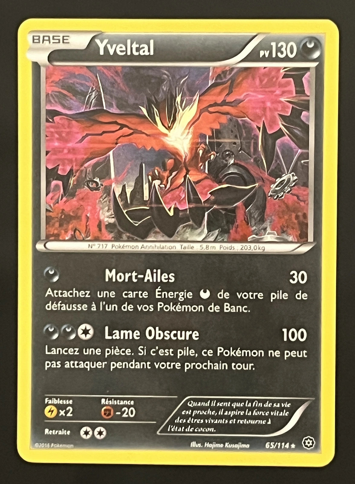 Yveltal 65/114