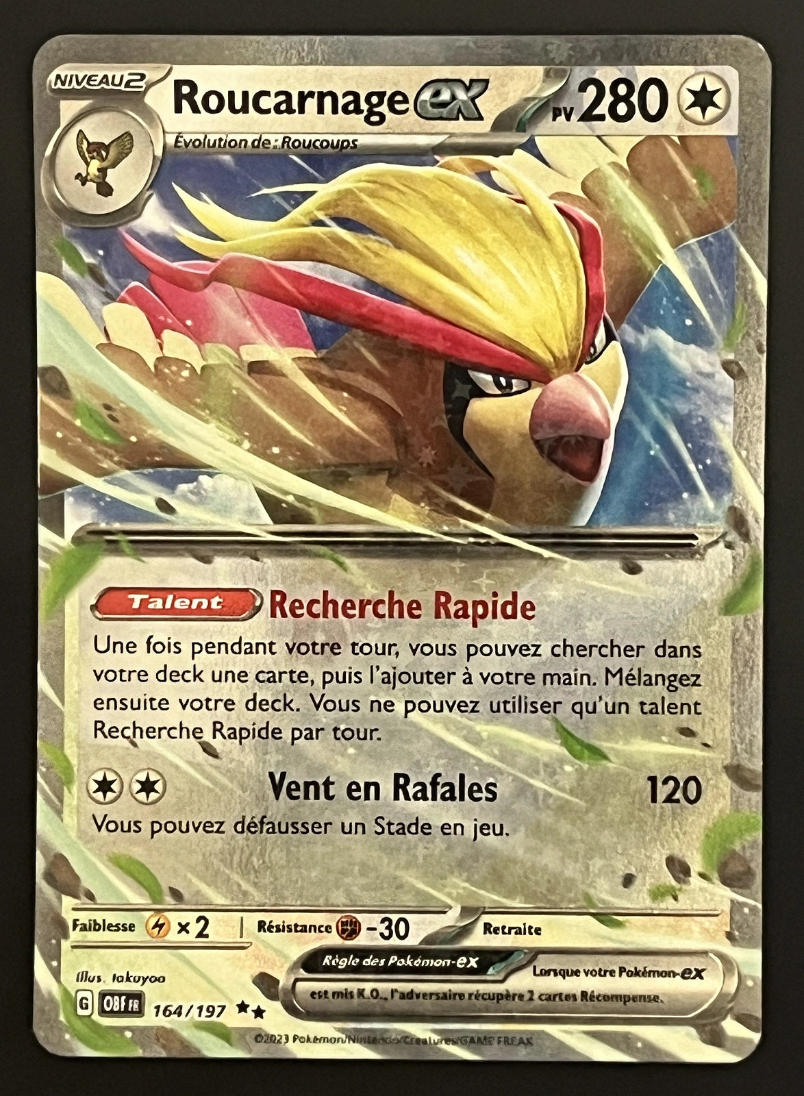 Roucarnage EX 164/197
