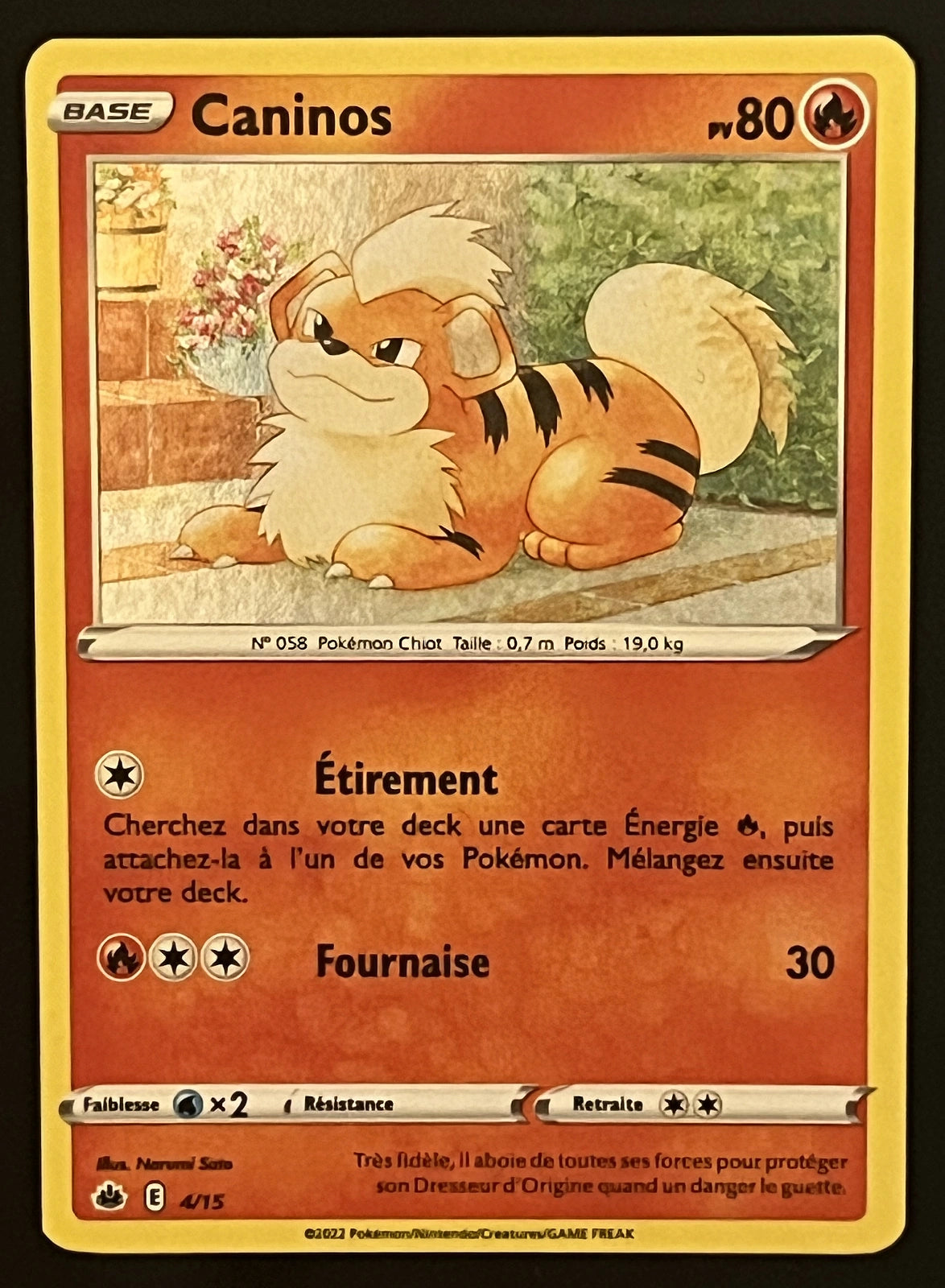 Caninos 4/15