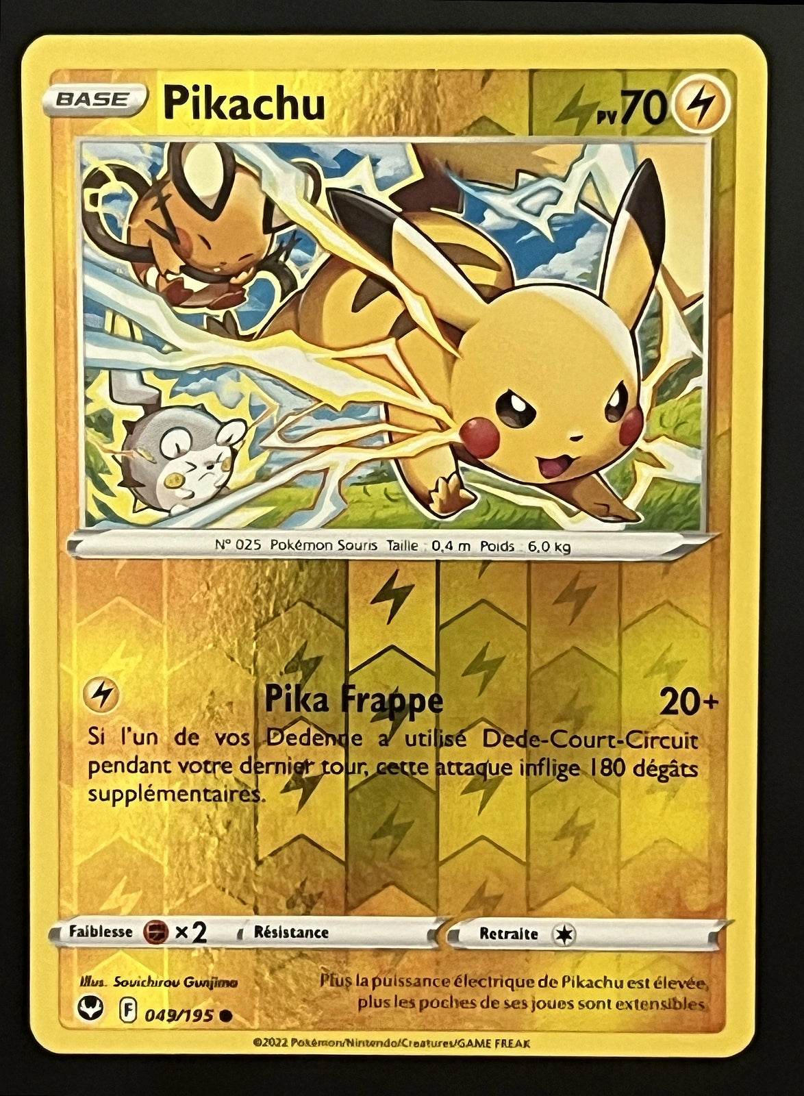 Pikachu 049/195