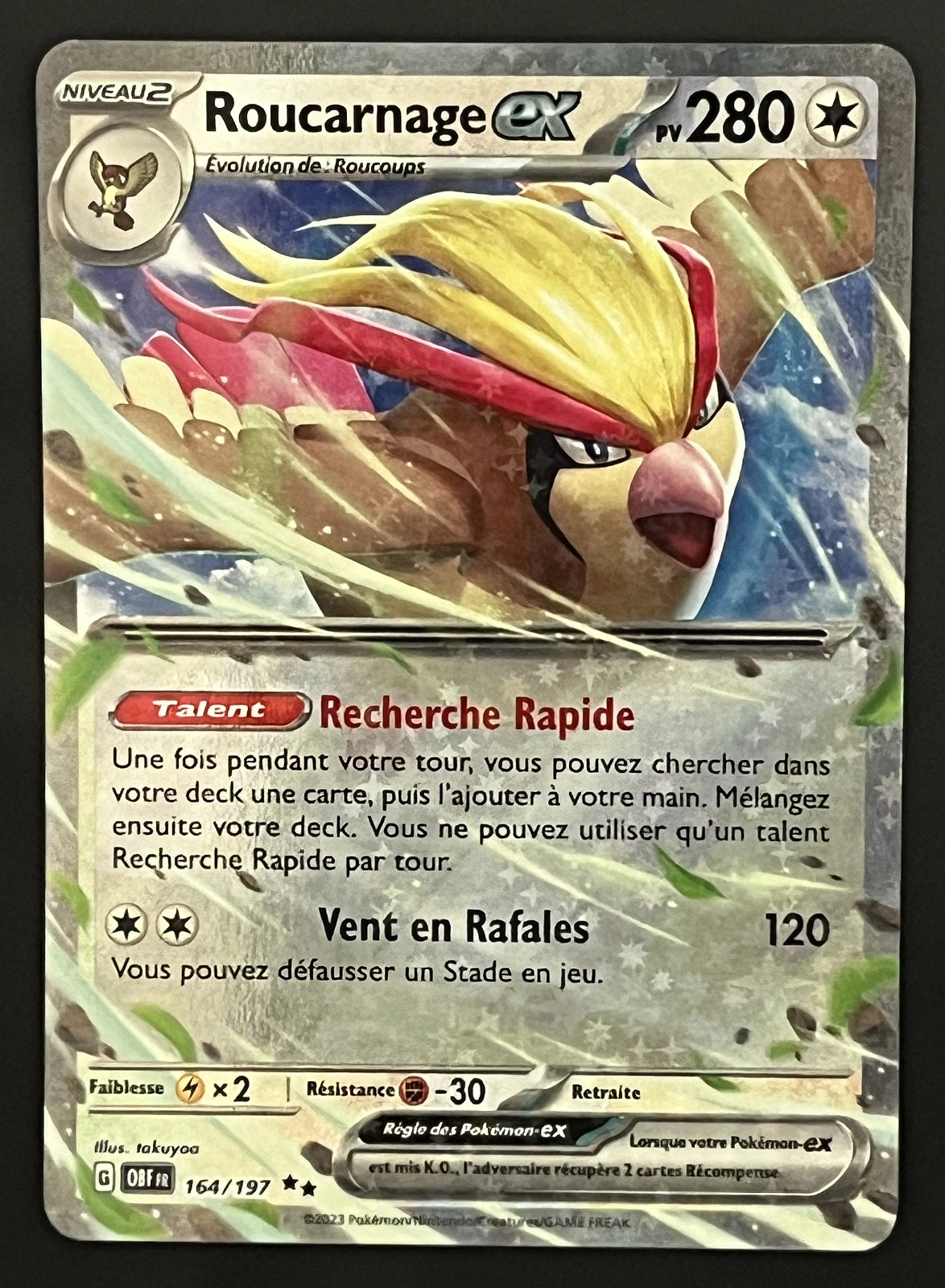 Roucarnage EX 164/197