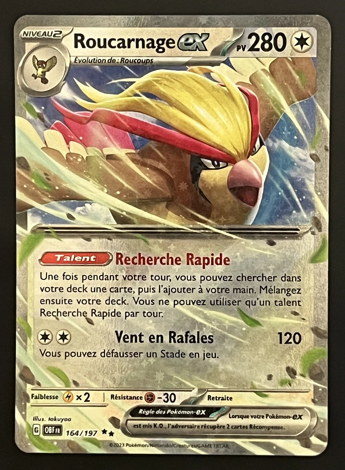 Roucarnage EX 164/197