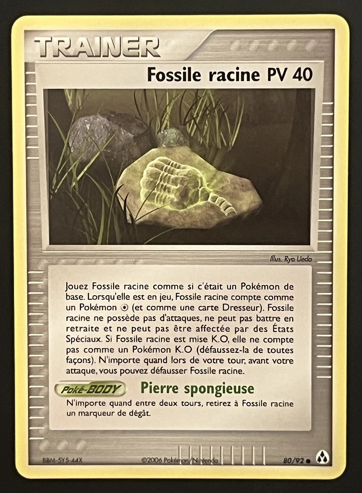 Fossile racine PV 40 80/92