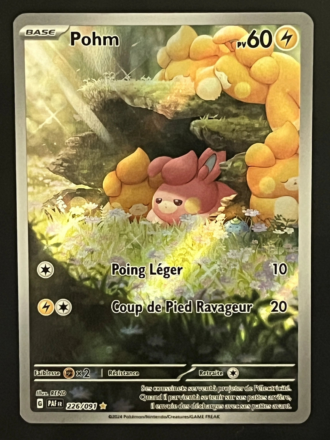 Pohm 226/091