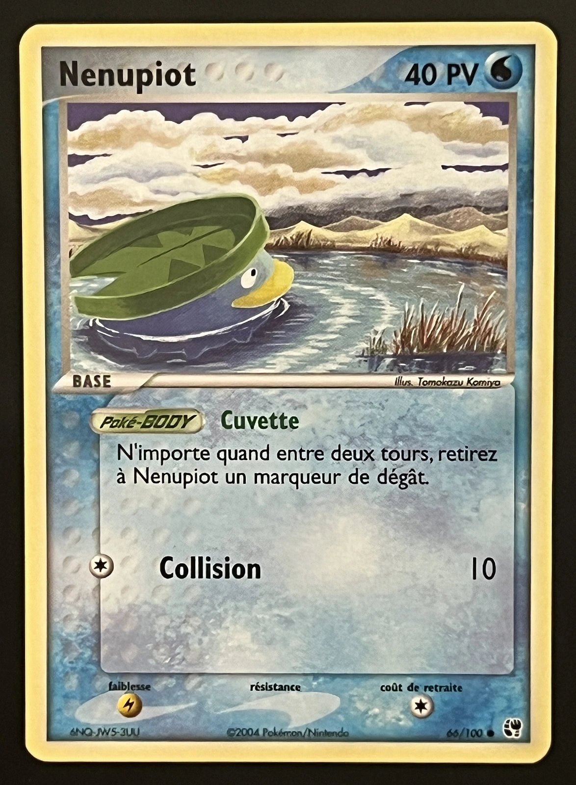 Nenupiot 66/100
