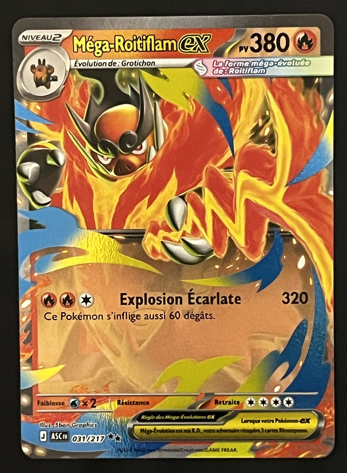 Méga-Roitiflam EX 031/21