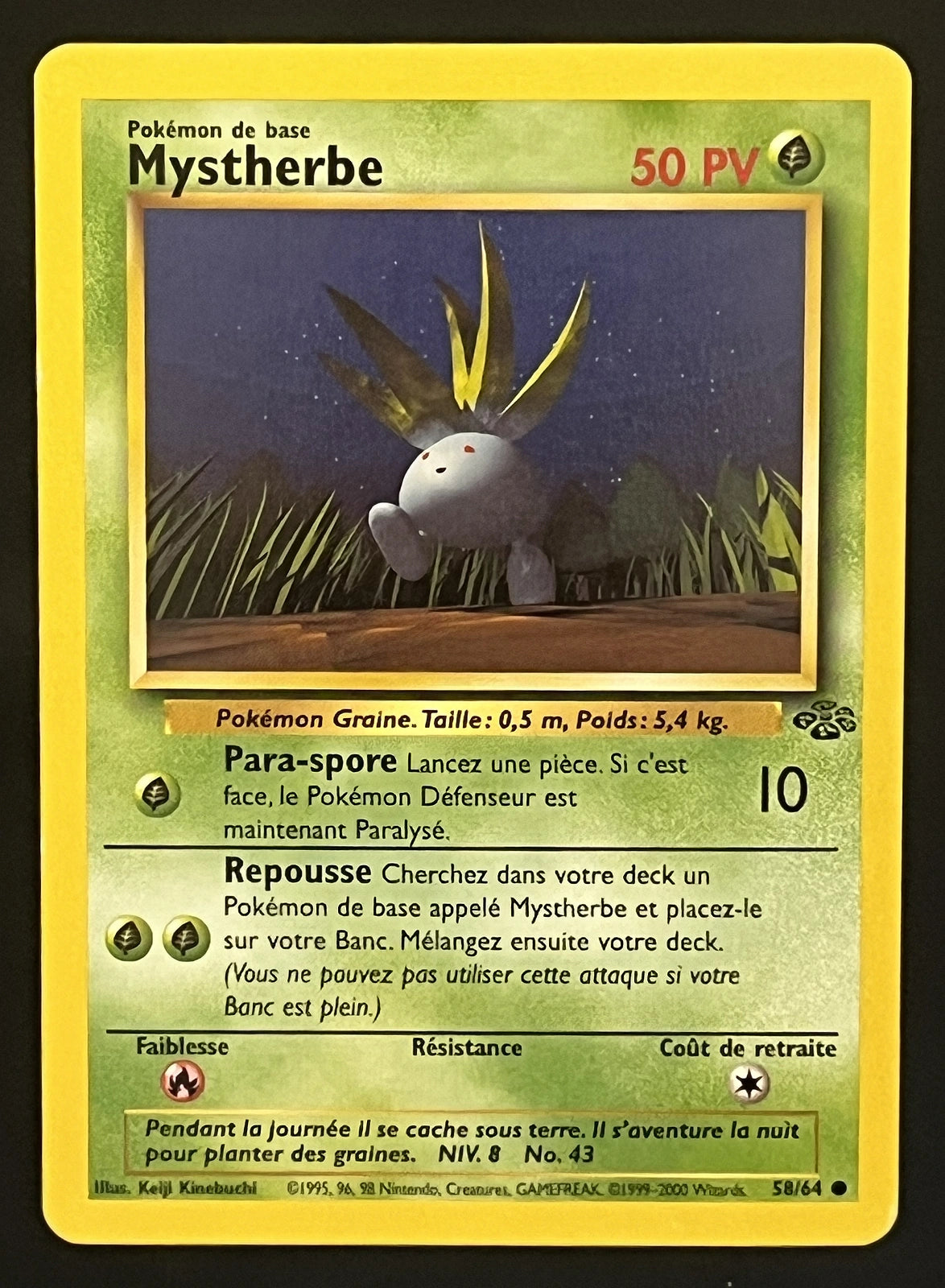 Mystherbe 58/64