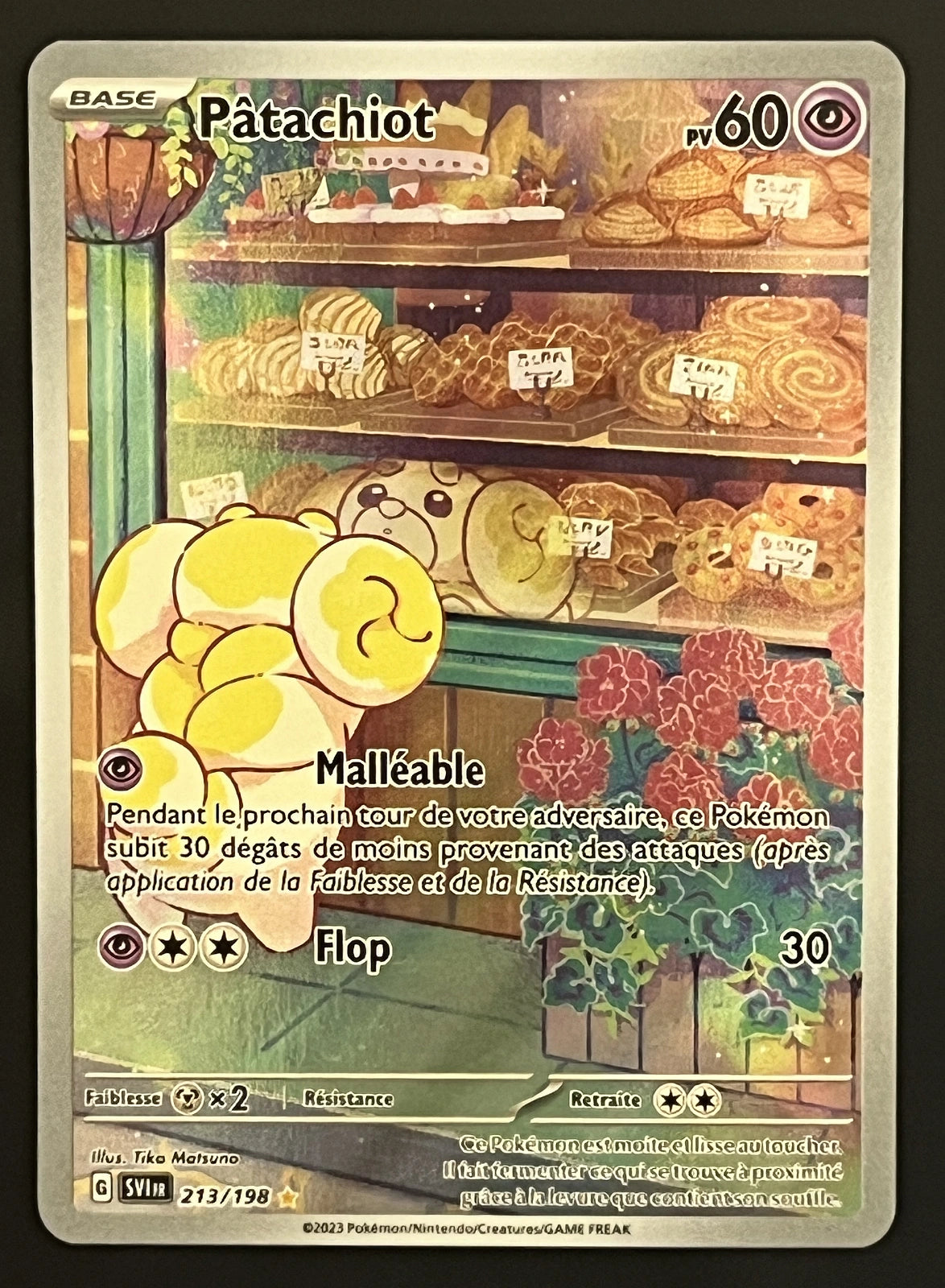 Pâtachiot 213/198