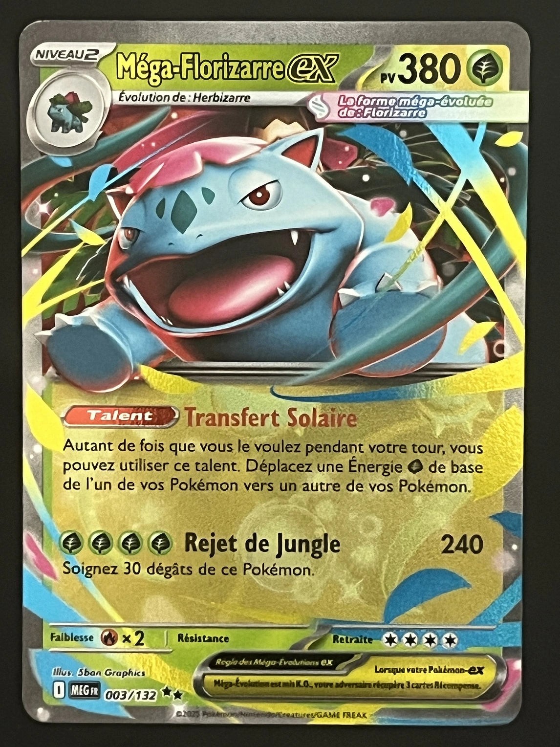 Méga-Florizarre EX 003/132