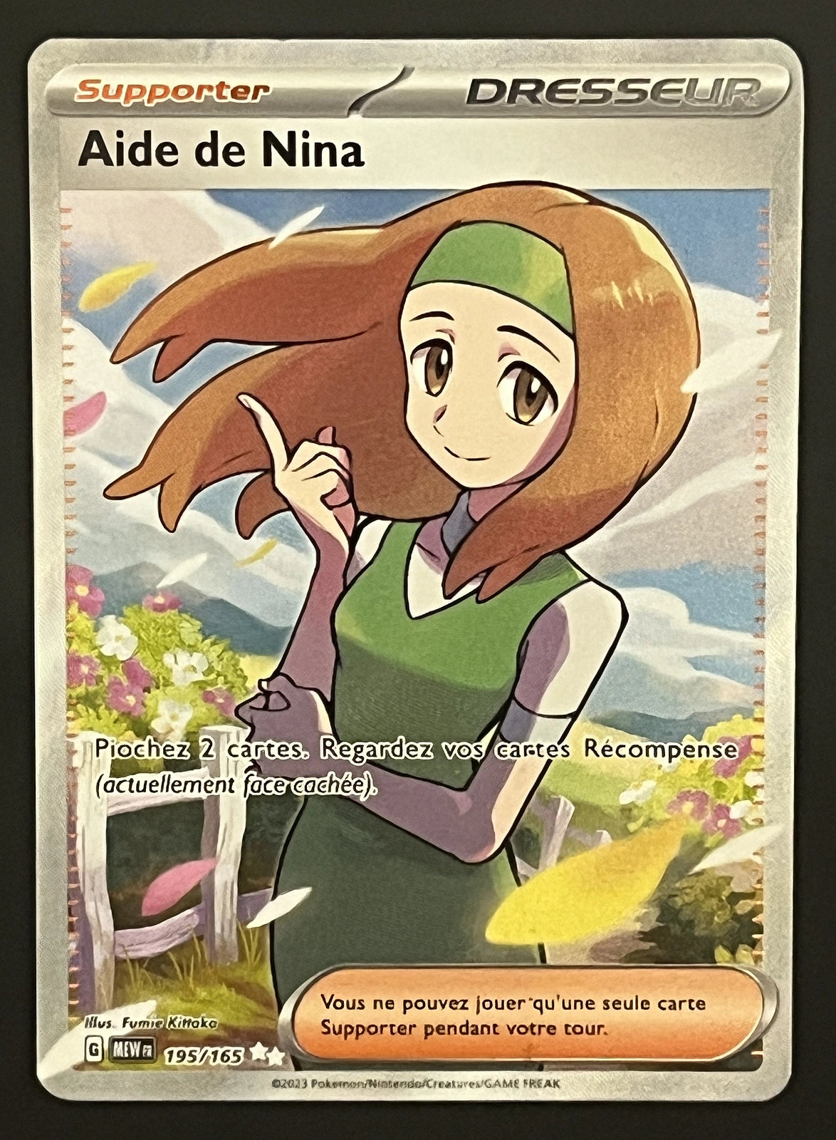 Aide de Nina 195/165