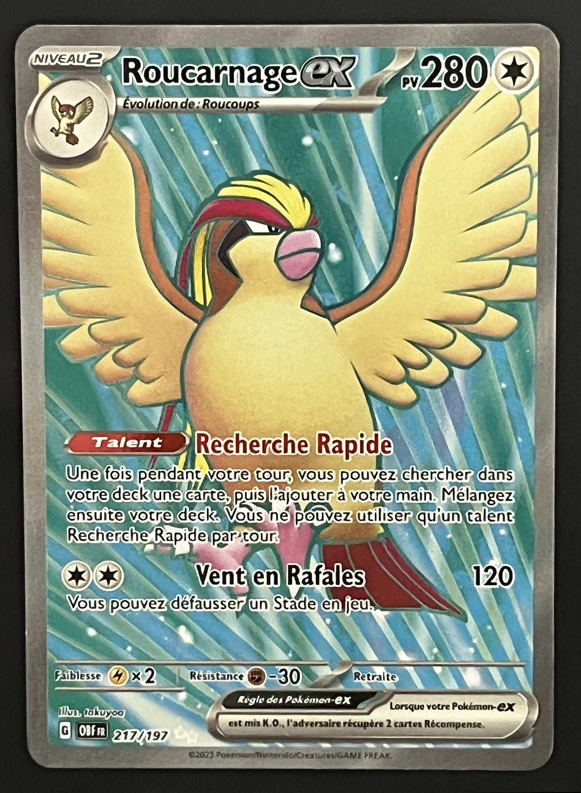 Roucarnage EX 217/197