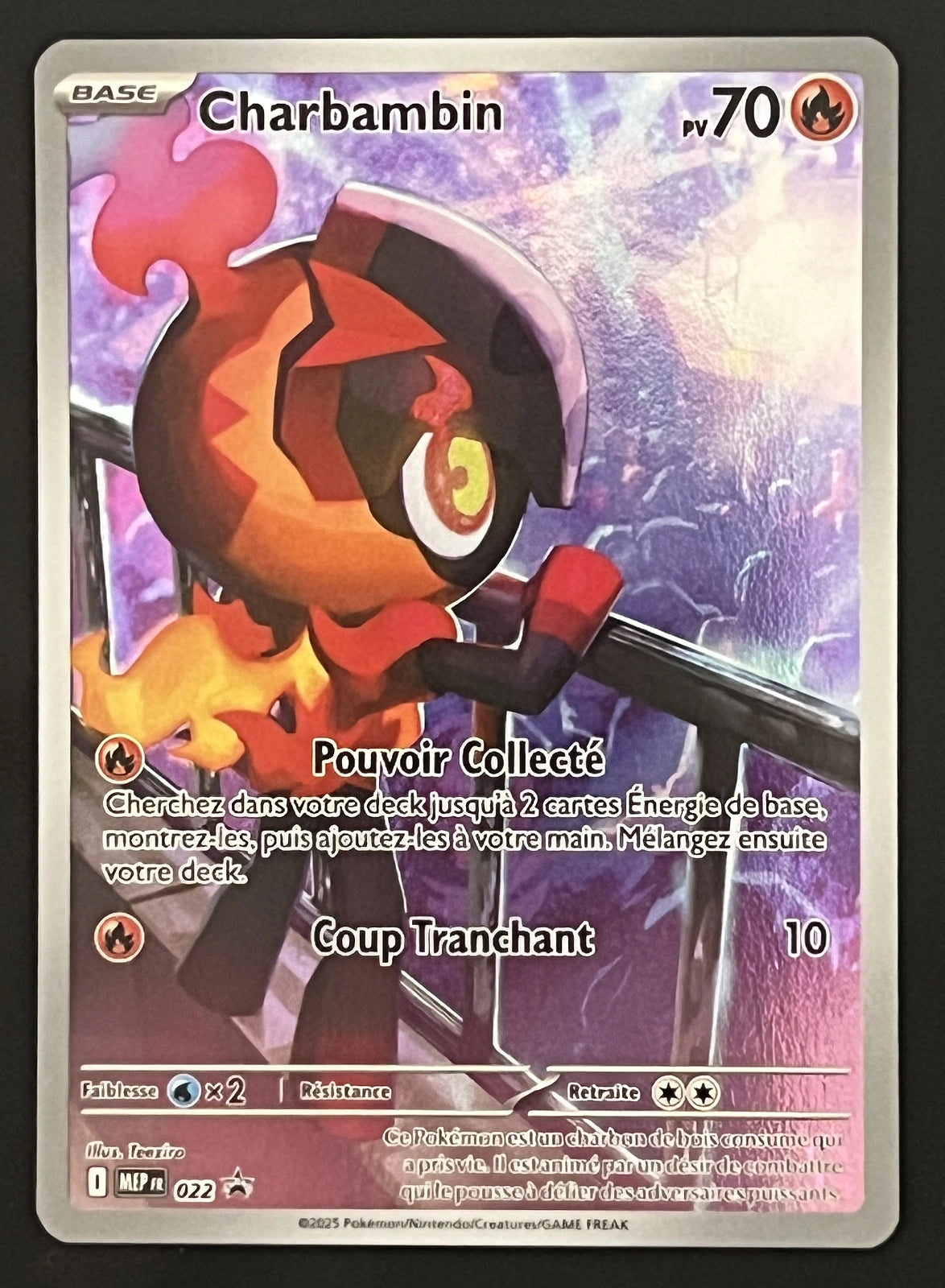 Charbambin MEP022