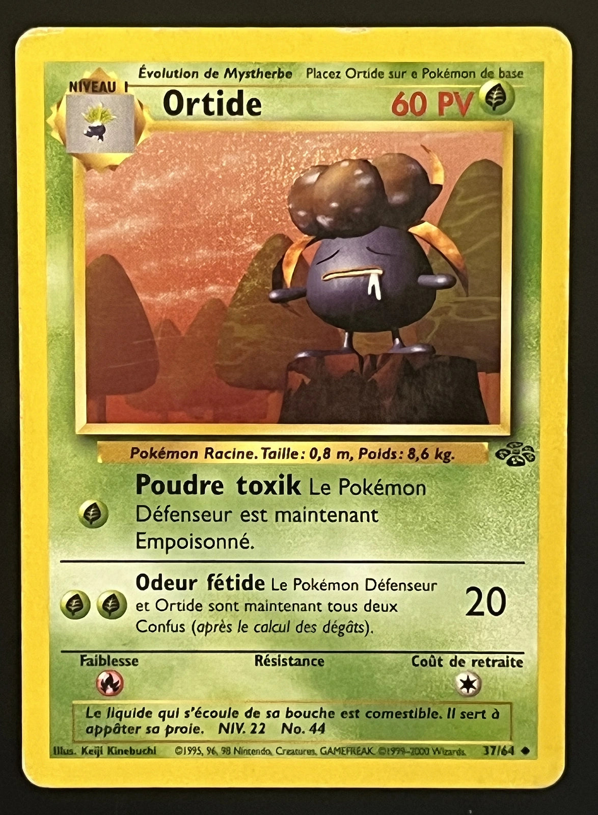 Ortide 37/64