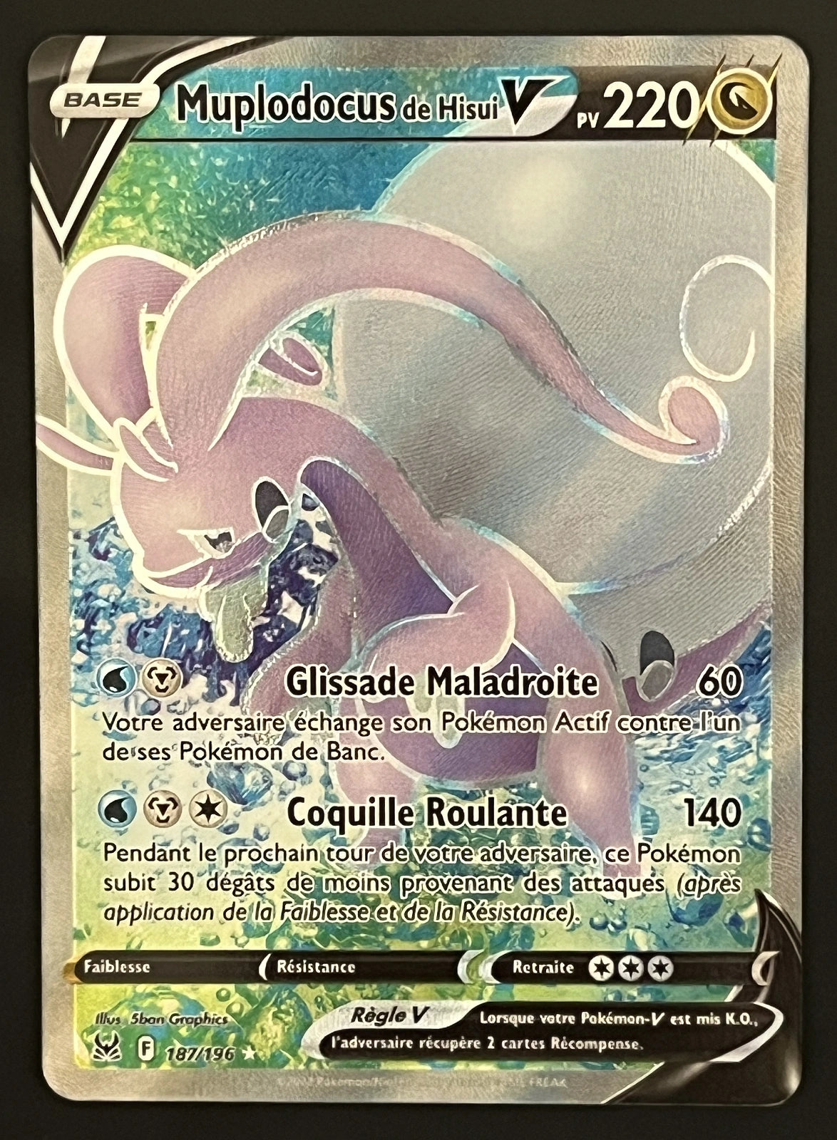 Muplodocus V 187/196
