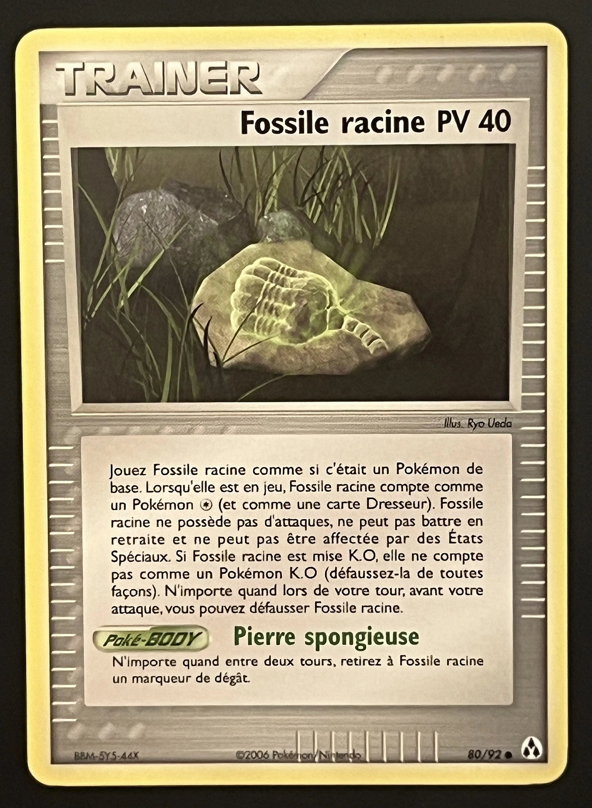 Fossile racine PV 40 80/92