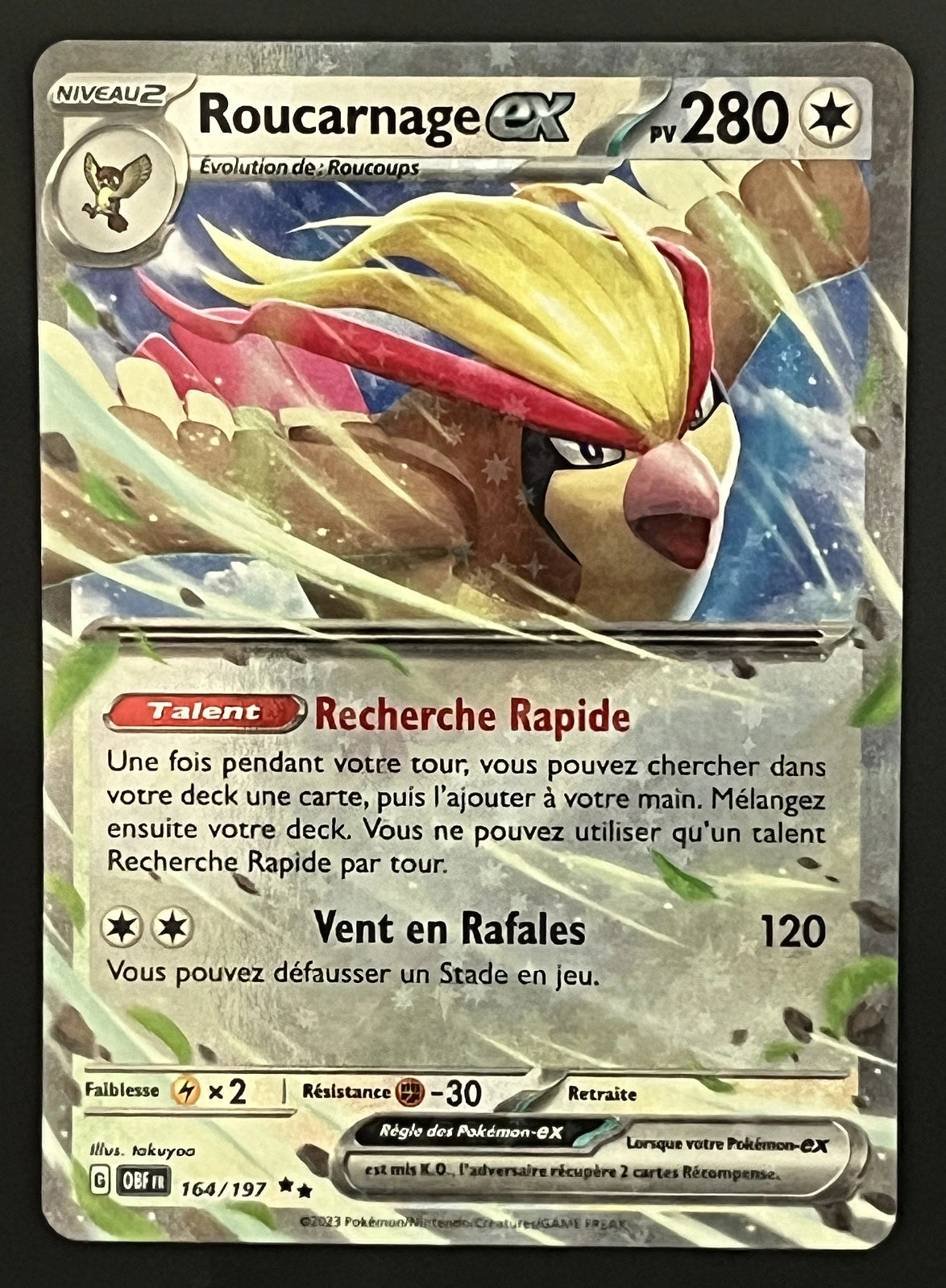 Roucarnage EX 164/197