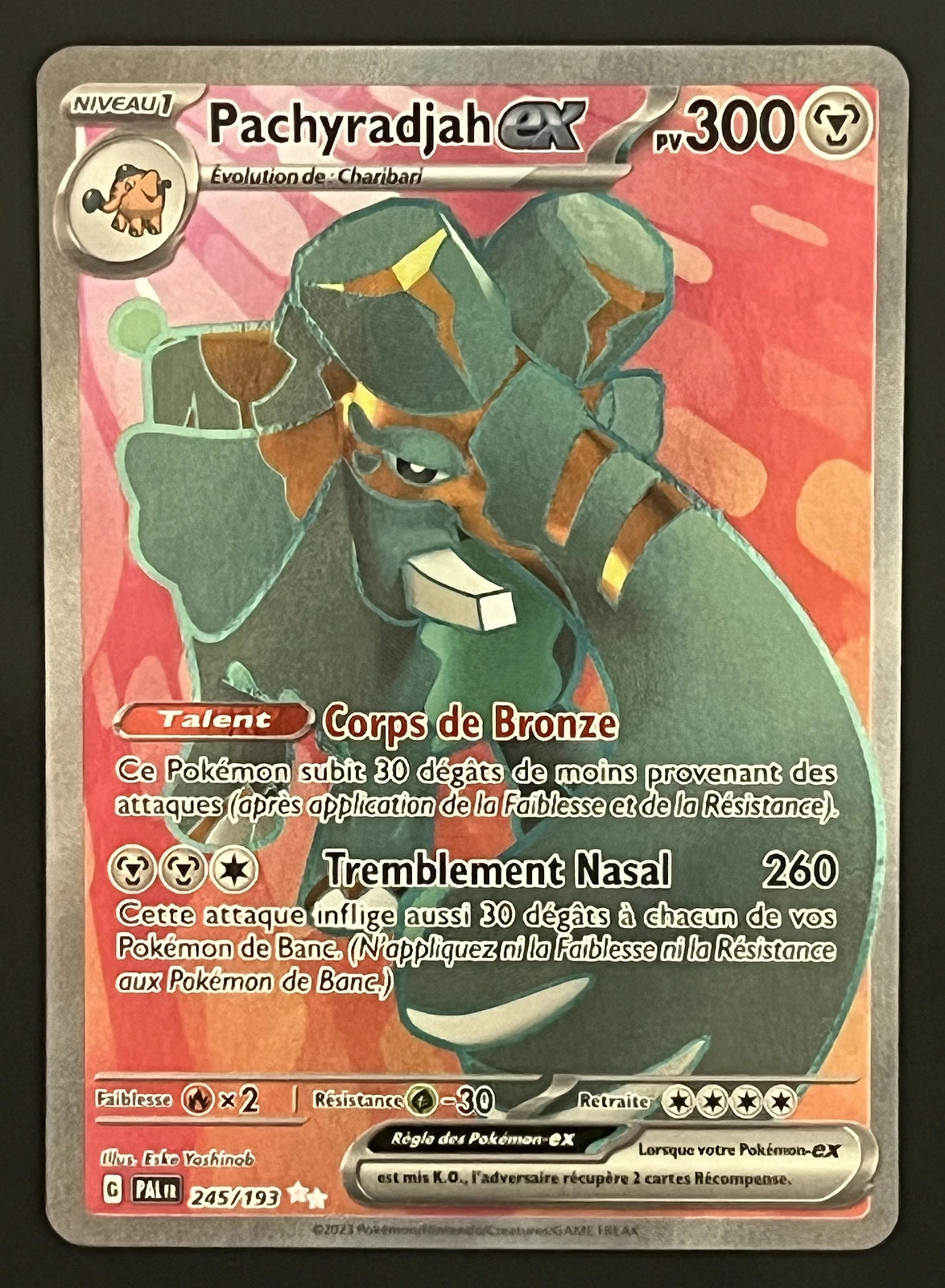 Pachyradjah EX 245/193
